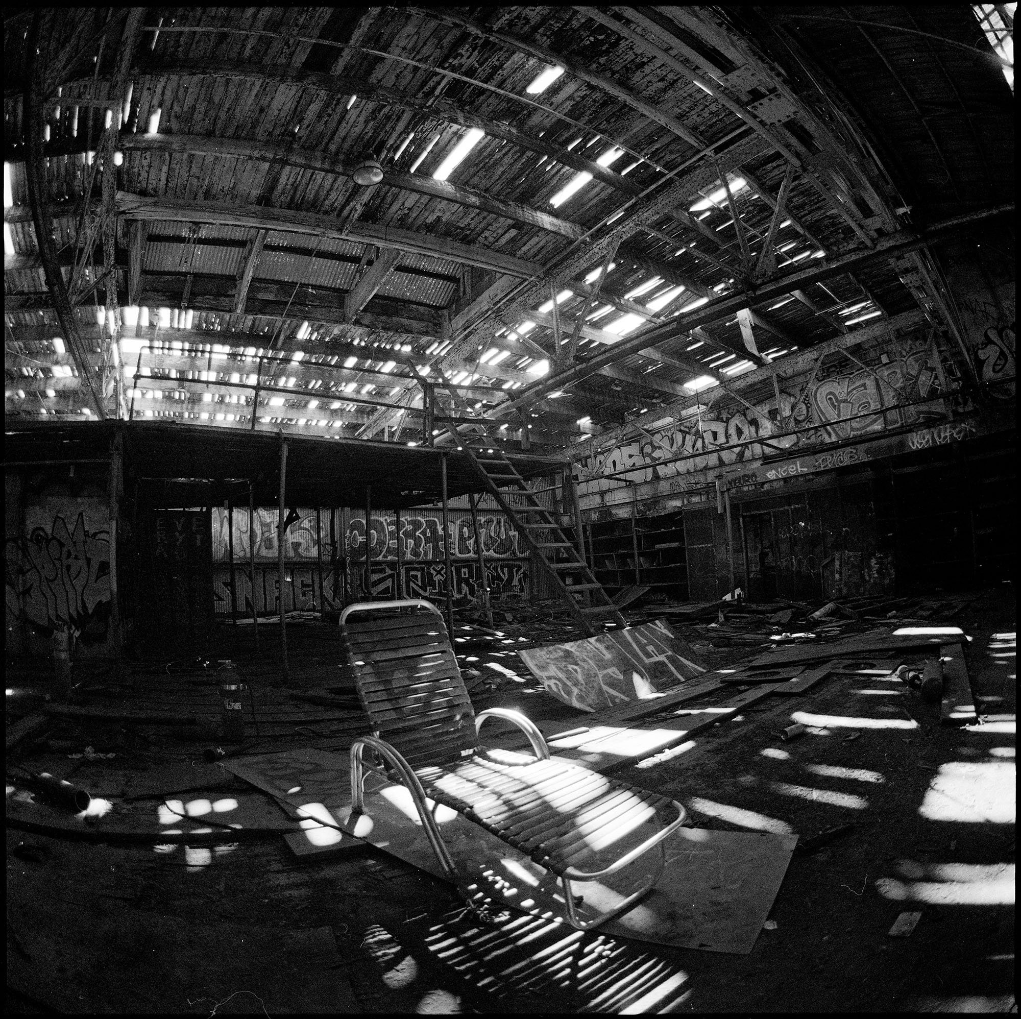 DOGPATCH 7 copy.jpg