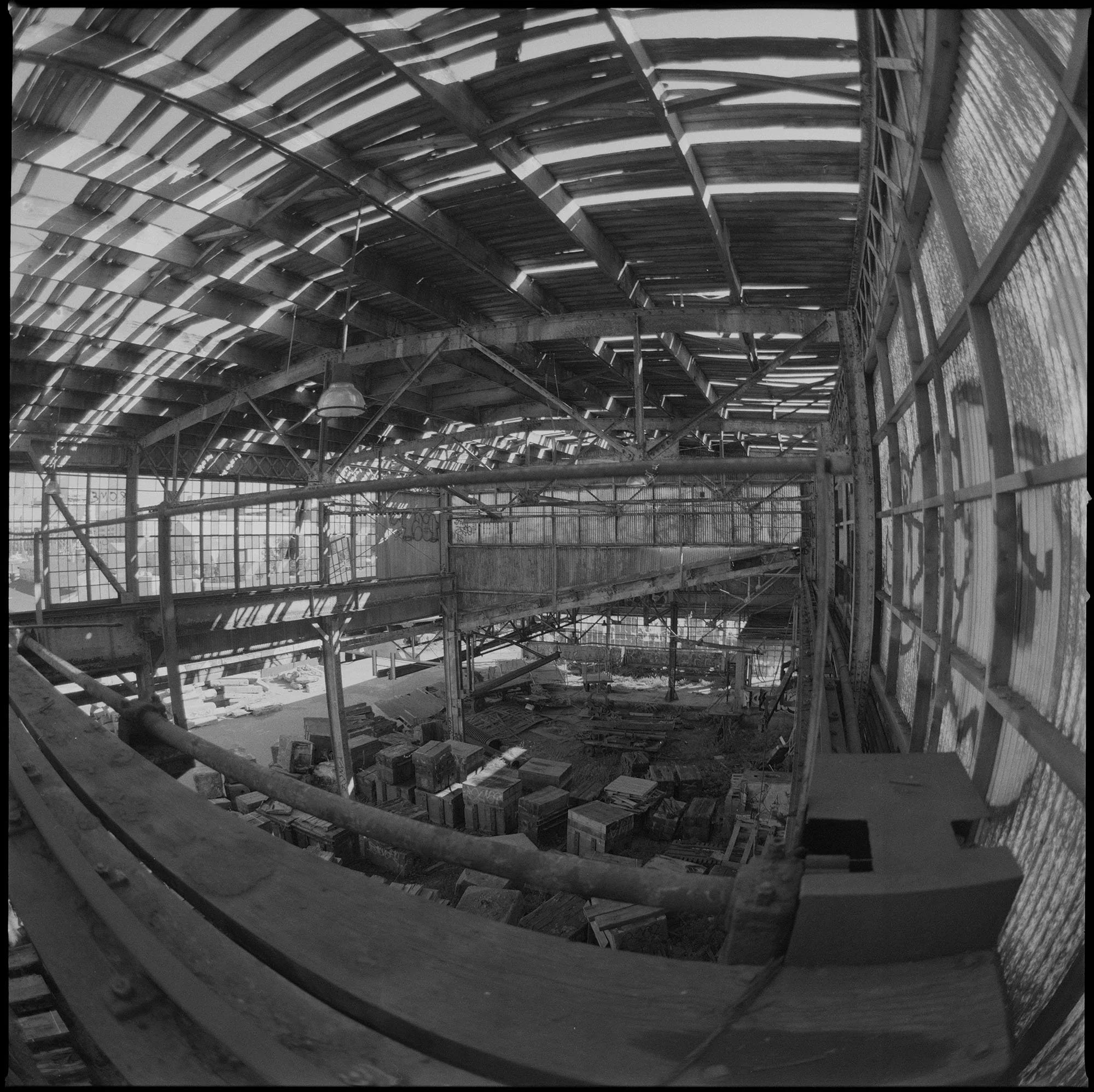 DOGPATCH1WEBREADY.jpg