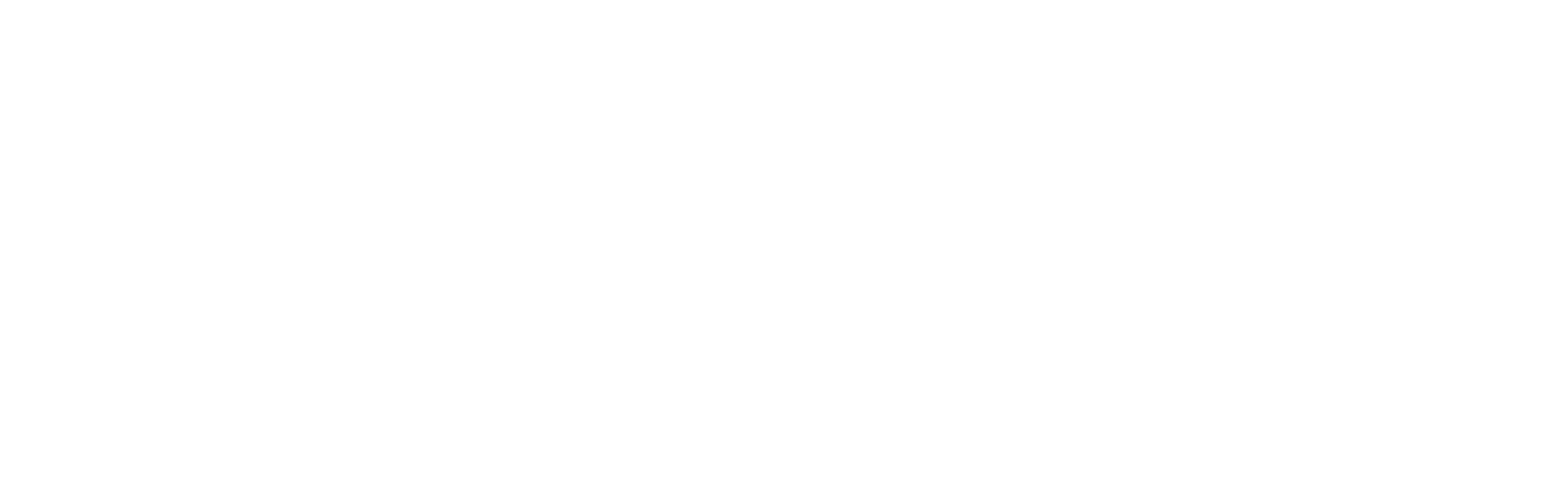 White logo for Paid.ai.