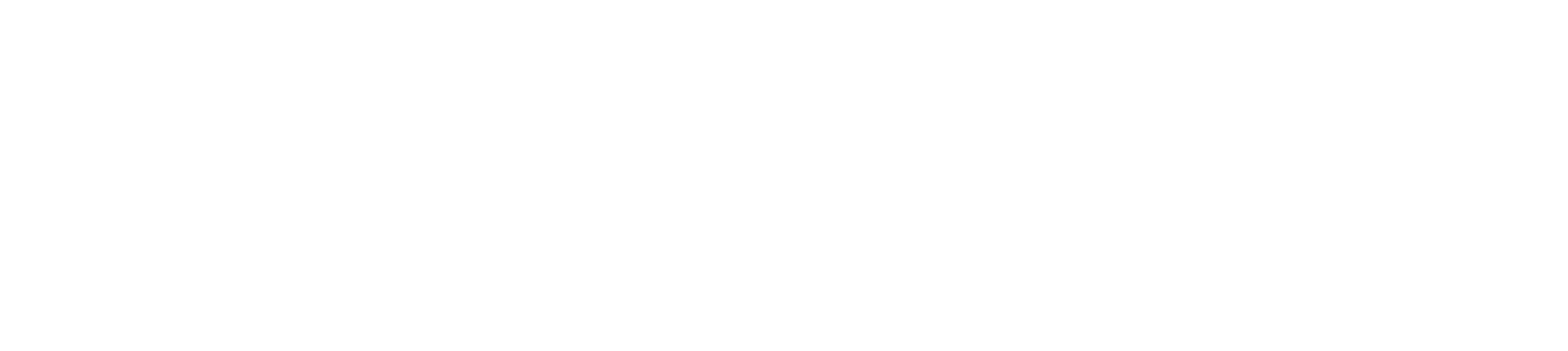 OpsLeve logo in white.