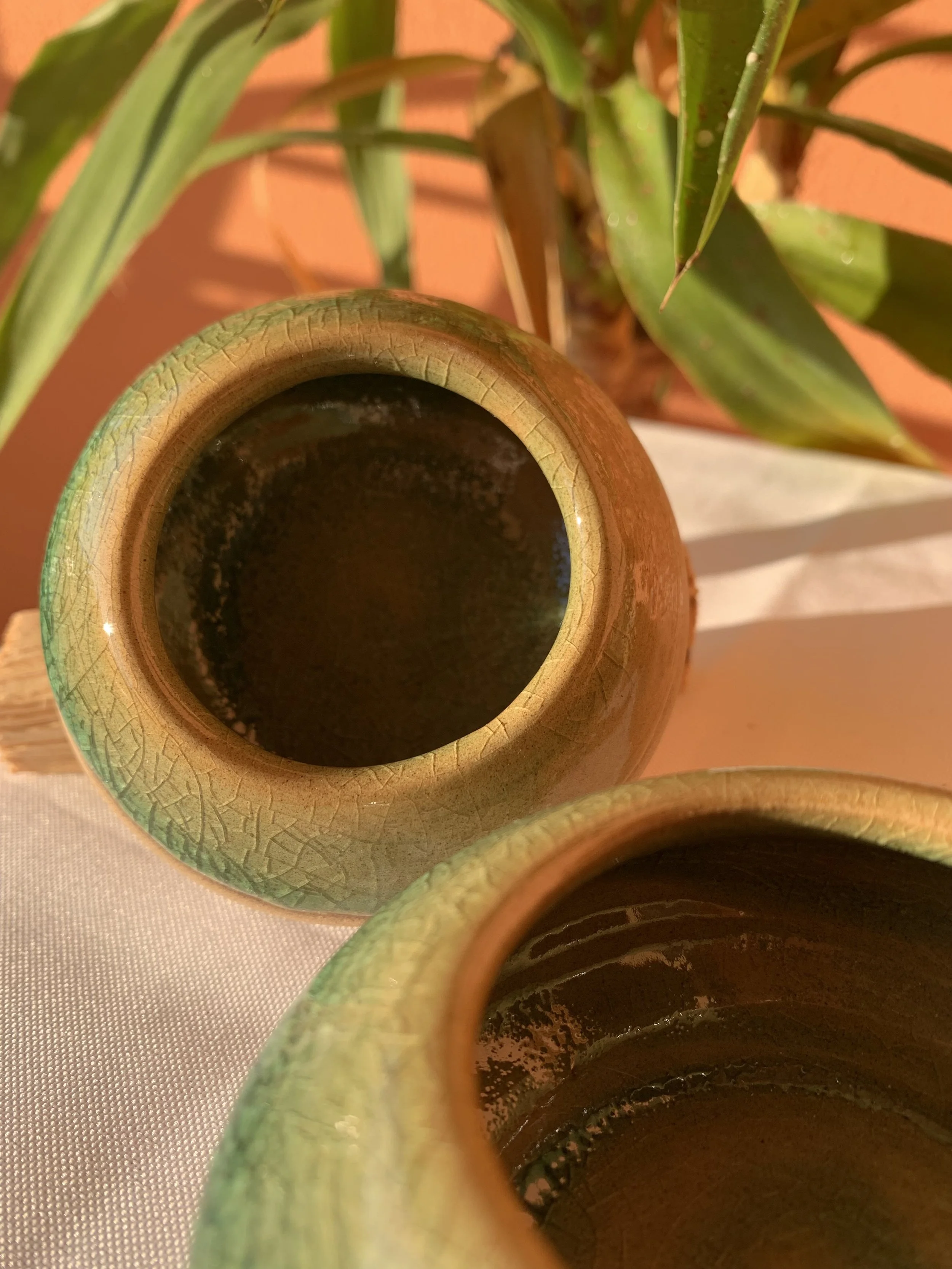 Vista dall'alto di due vasi di terracotta vuoti con una pianta verde alle spalle, su una superficie chiara.