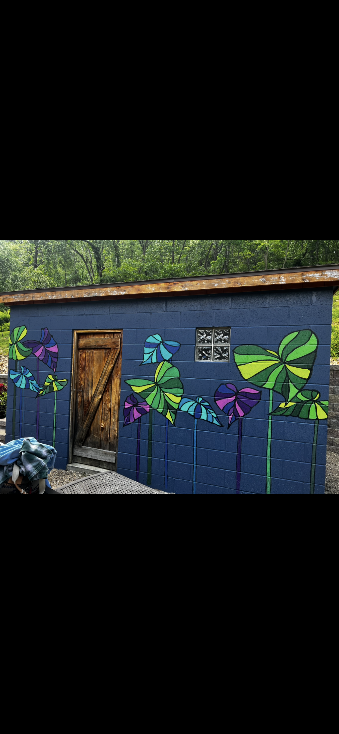 IMG_0705.PNG