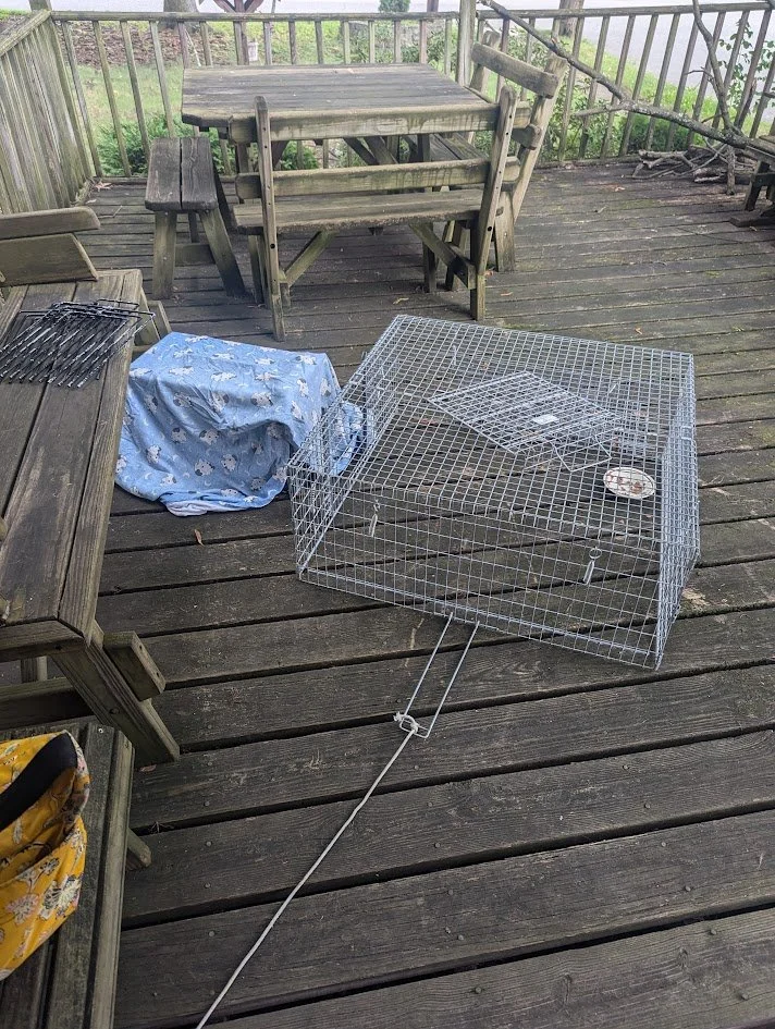 PXL_20240704_151355818.MP (1).jpg