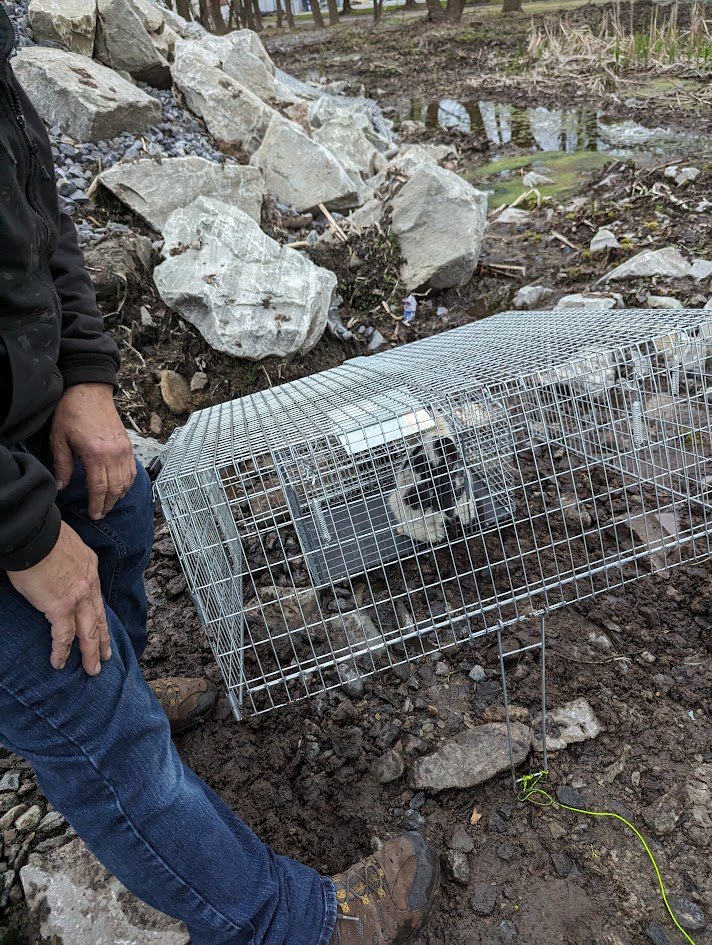 PXL_20240417_233832058 (1).jpg