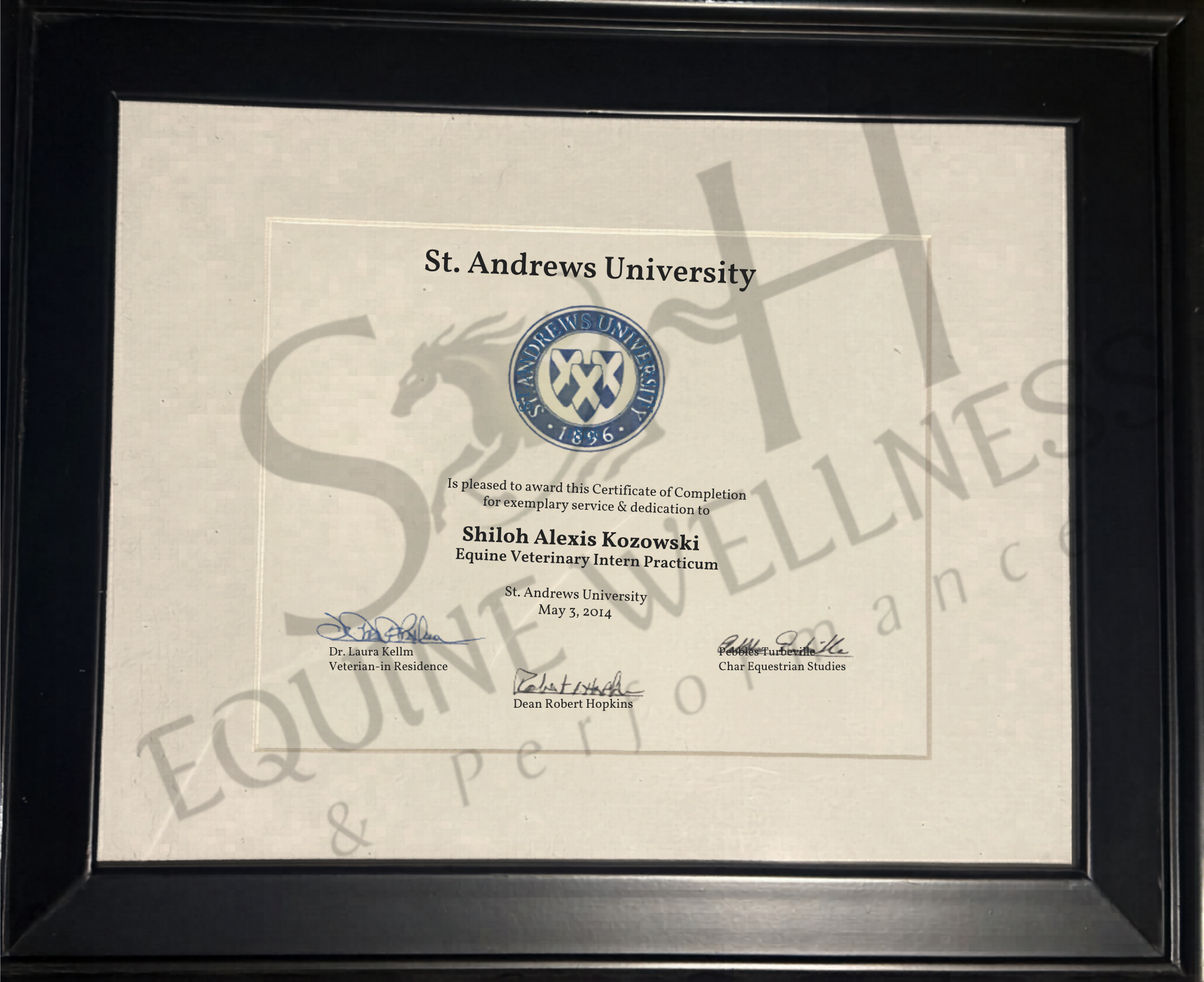 Certificate of completion from St. Andrews University awarded to Shiloh Alexis Kozowski for an equine veterinary internship, dated May 3, 2014, signed by Dr. Laura Kellm and Dean Robert Hopkins, in a black frame.