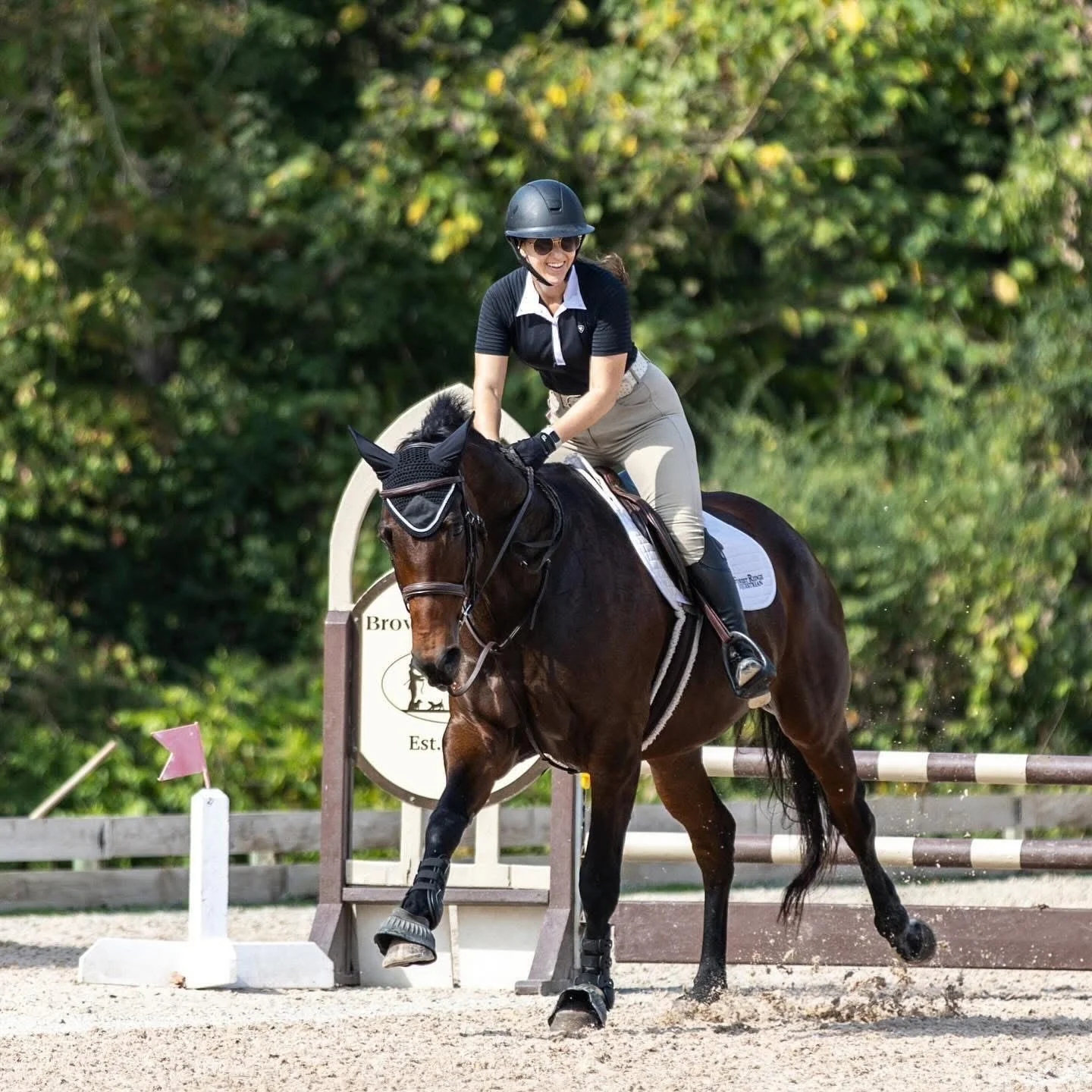 equine wellness, equine performance, equine health, equine nutrition