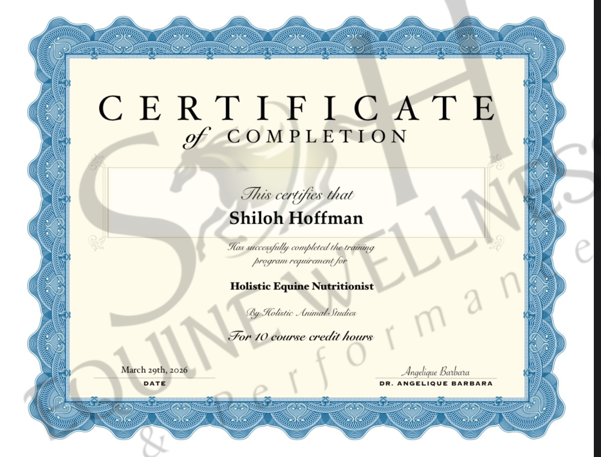 Certificate of completion issued to Shiloh Hoffman for a Holistic Equine Nutritionist training program with 10 course credit hours, dated March 29th, 2026, signed by Dr. Angelique Barbara.