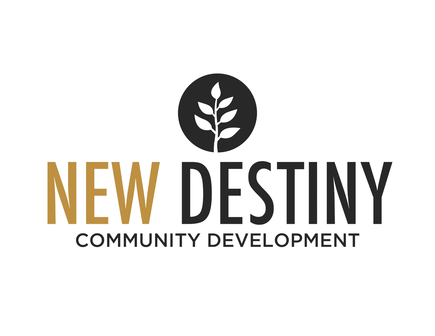 New Destiny