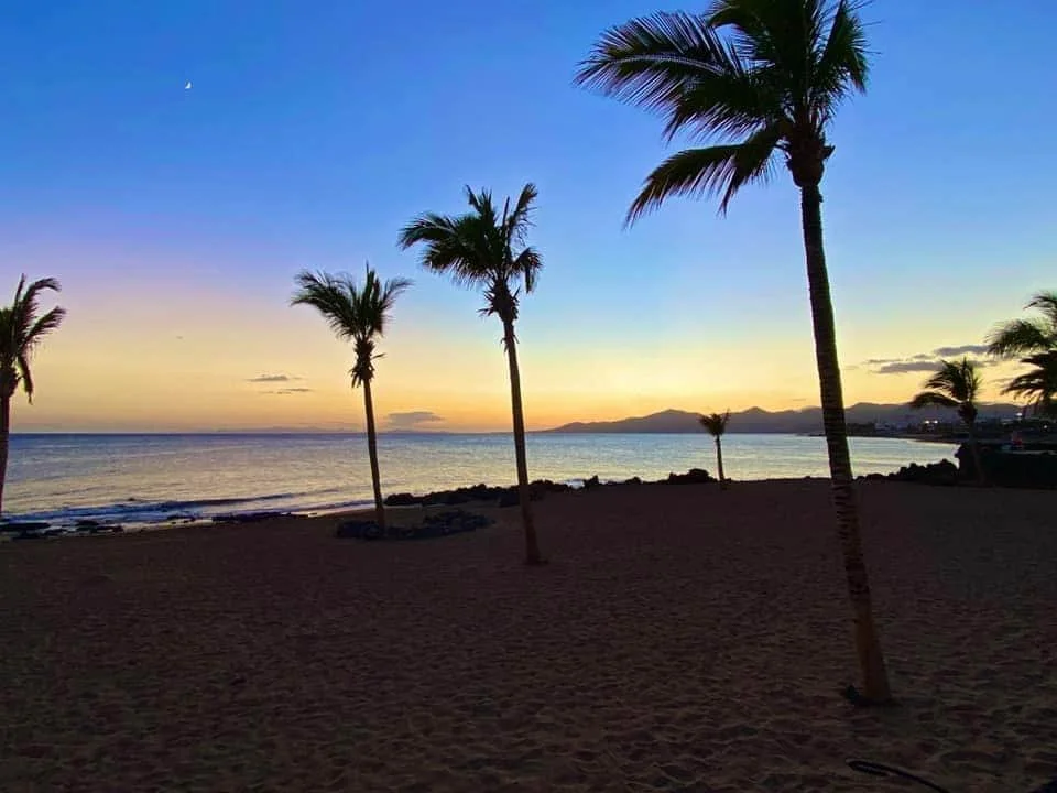 Sunset over a beach with palm trees and mountains in the background.