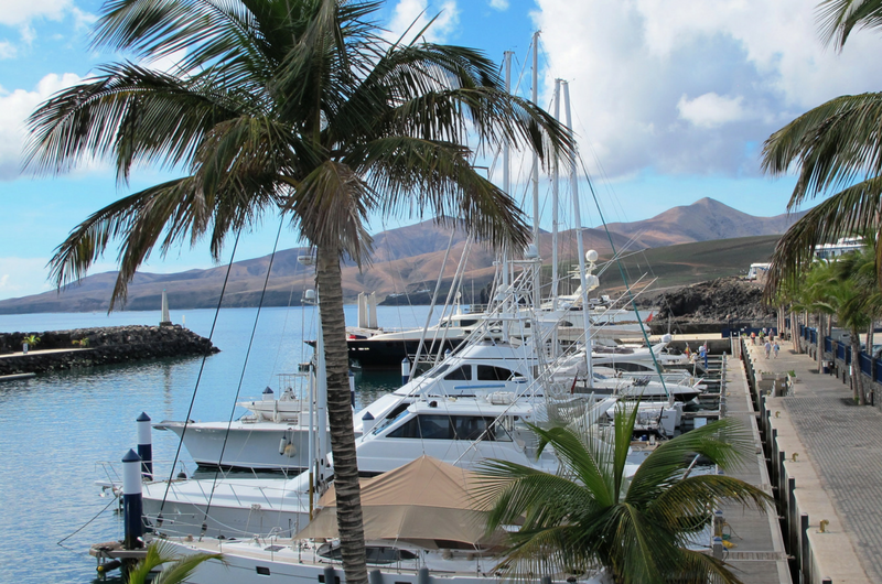 Yachts docked at a marina with palm trees, mountains in the background, and a paved walkway on the right.