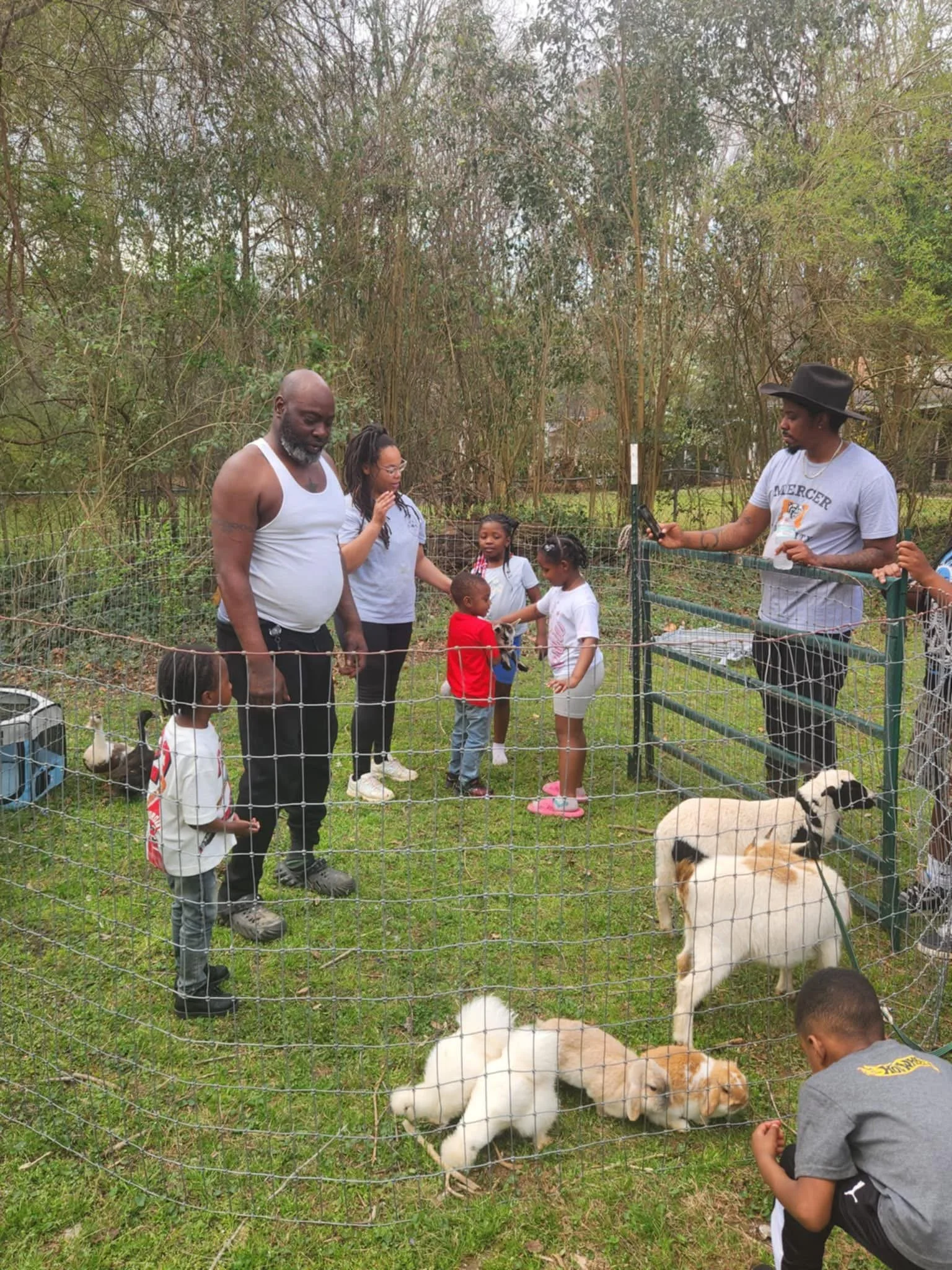 Animal Experience