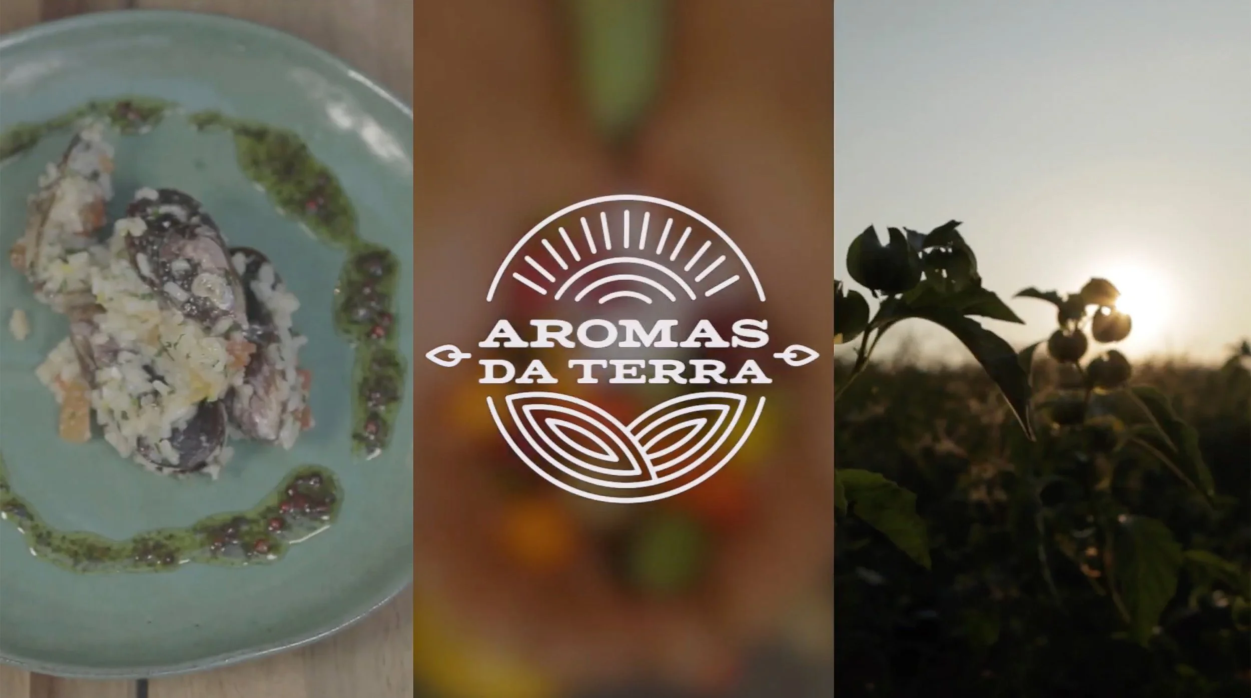 AROMAS DA TERRA.jpg
