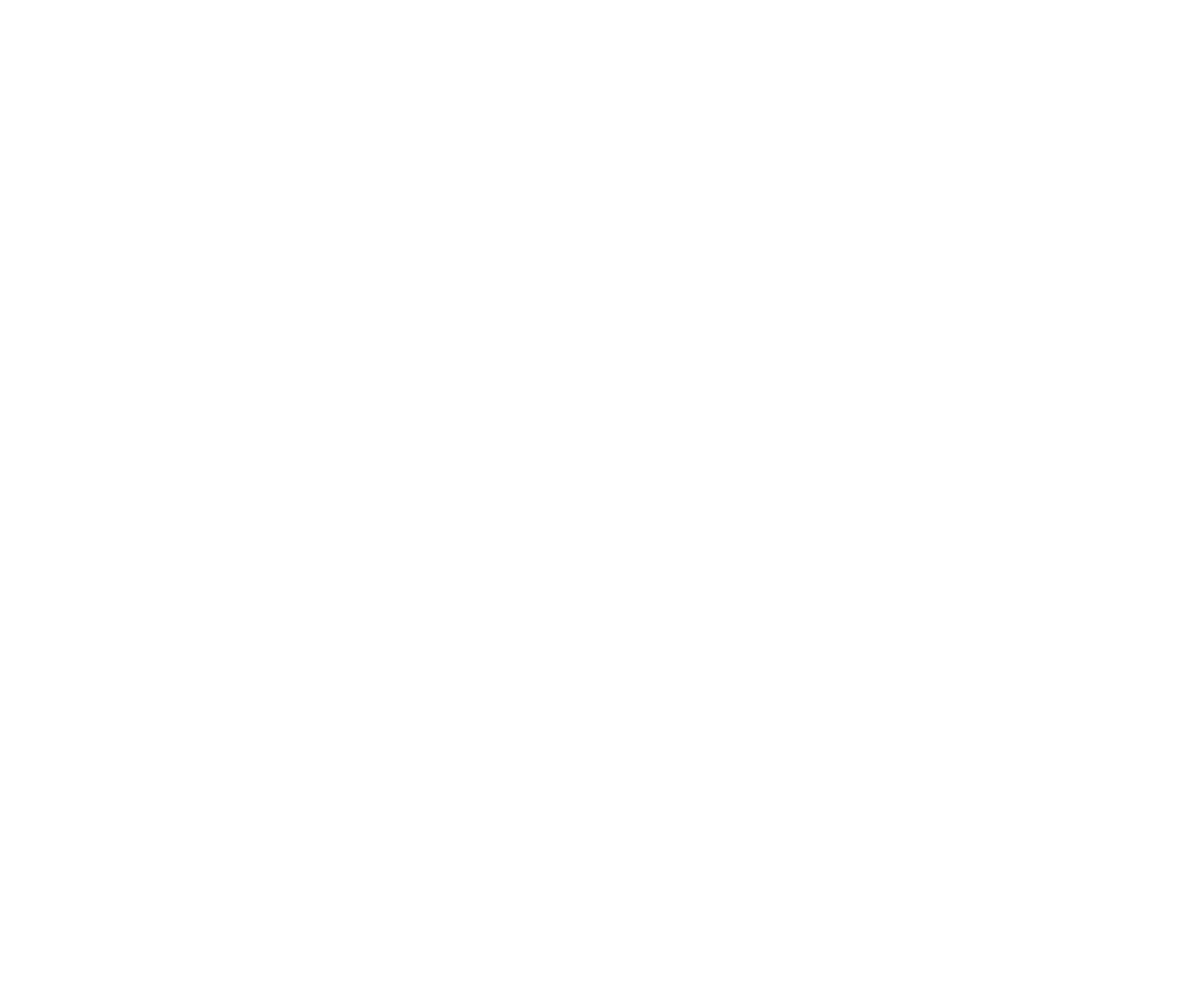 The Exterior Cleaning Club