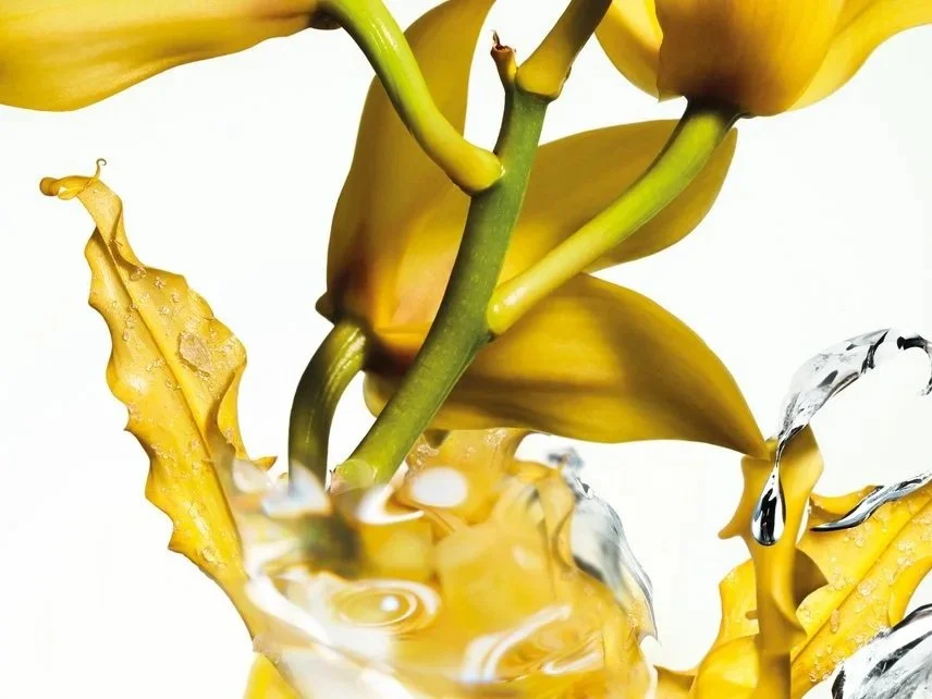 ingredient-visual-ylang-16x9_dmi_image_na_no-cta.jpg