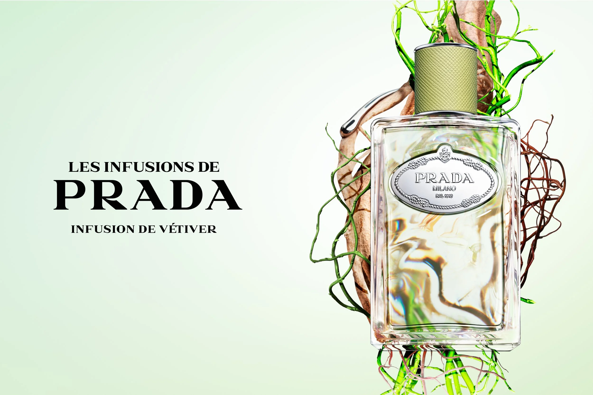 hero-print-vetiver-1.50_dmi_image_na_no-cta.jpg