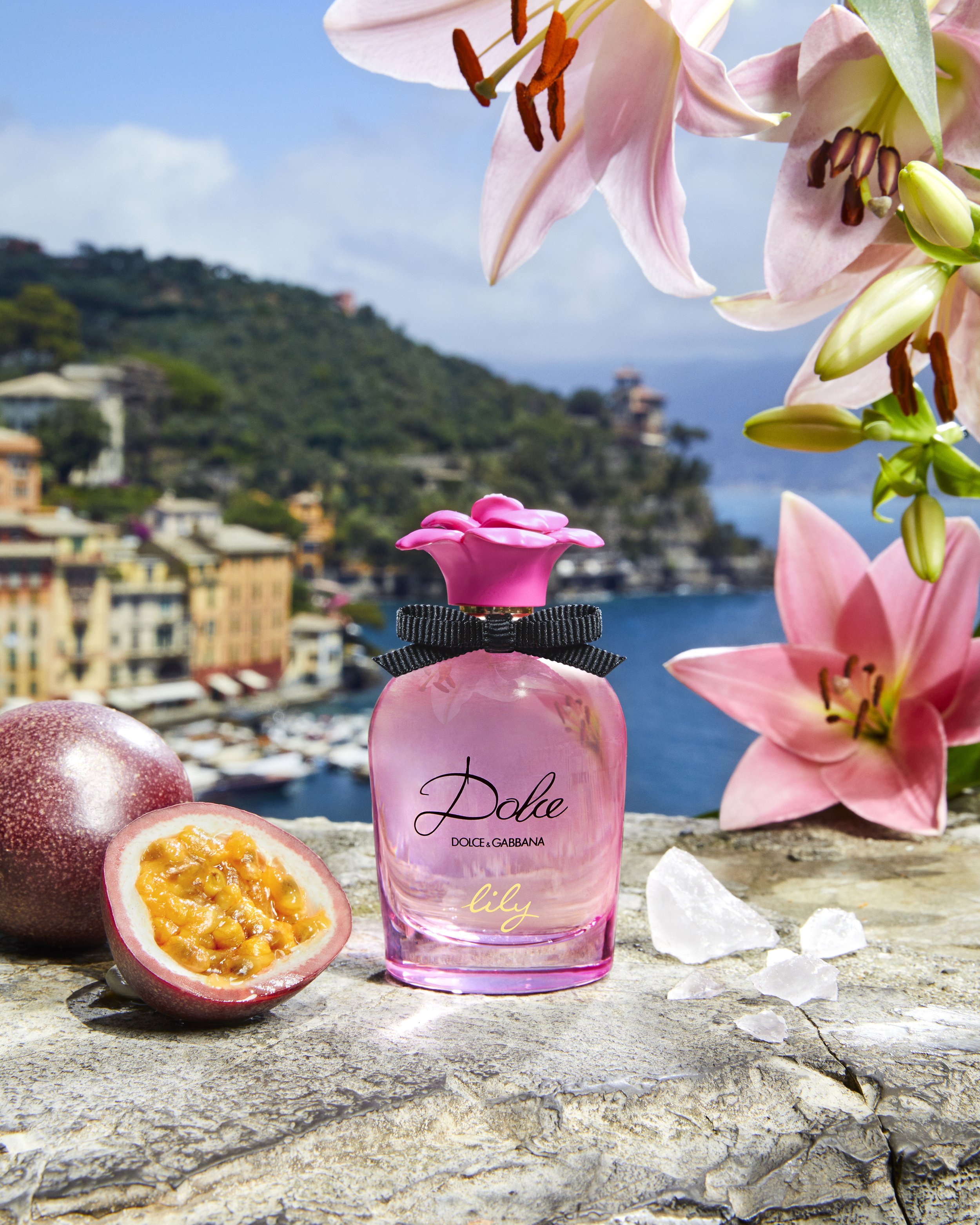 Dolce Lily 2022 - Still life visual 1_RGB Web_300dpi.jpg