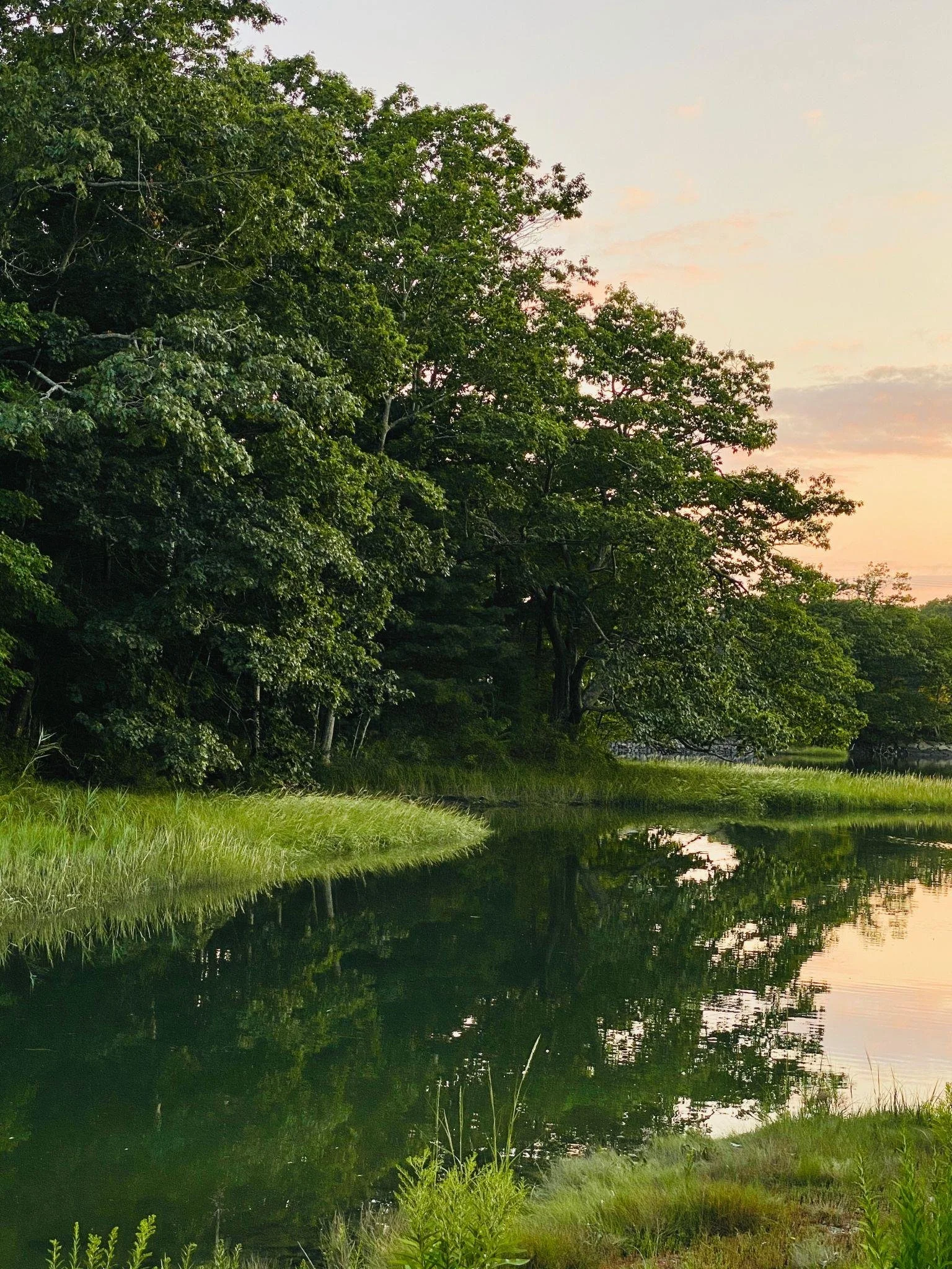 A calm river or pond reflecting trees and the sky, with lush greenery along the edge and a sunset in the background.
