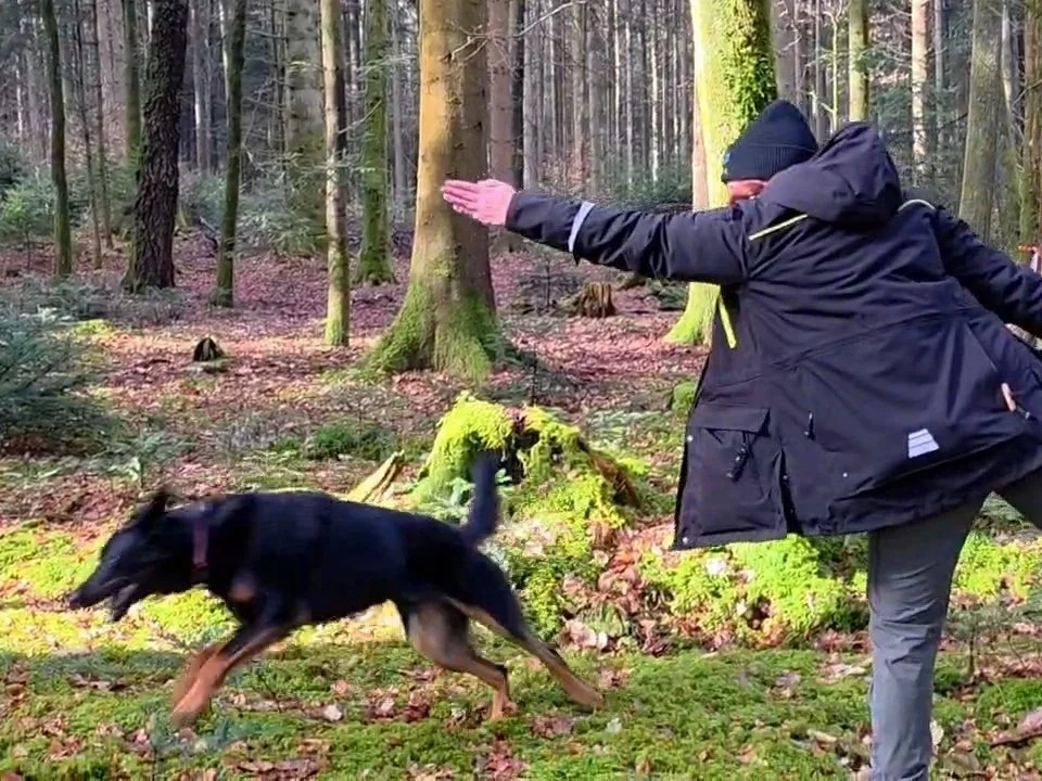 Dummy- und Apportiertraining