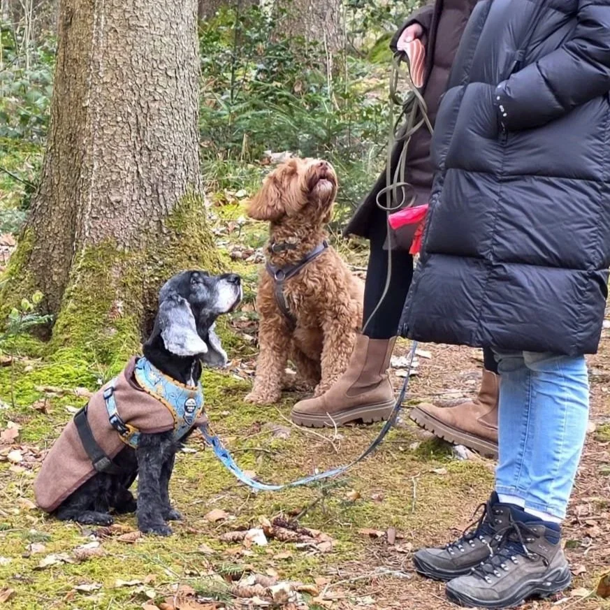 Mehr draussen, mehr Reize: So gelingt der entspannte Start in den Frühling