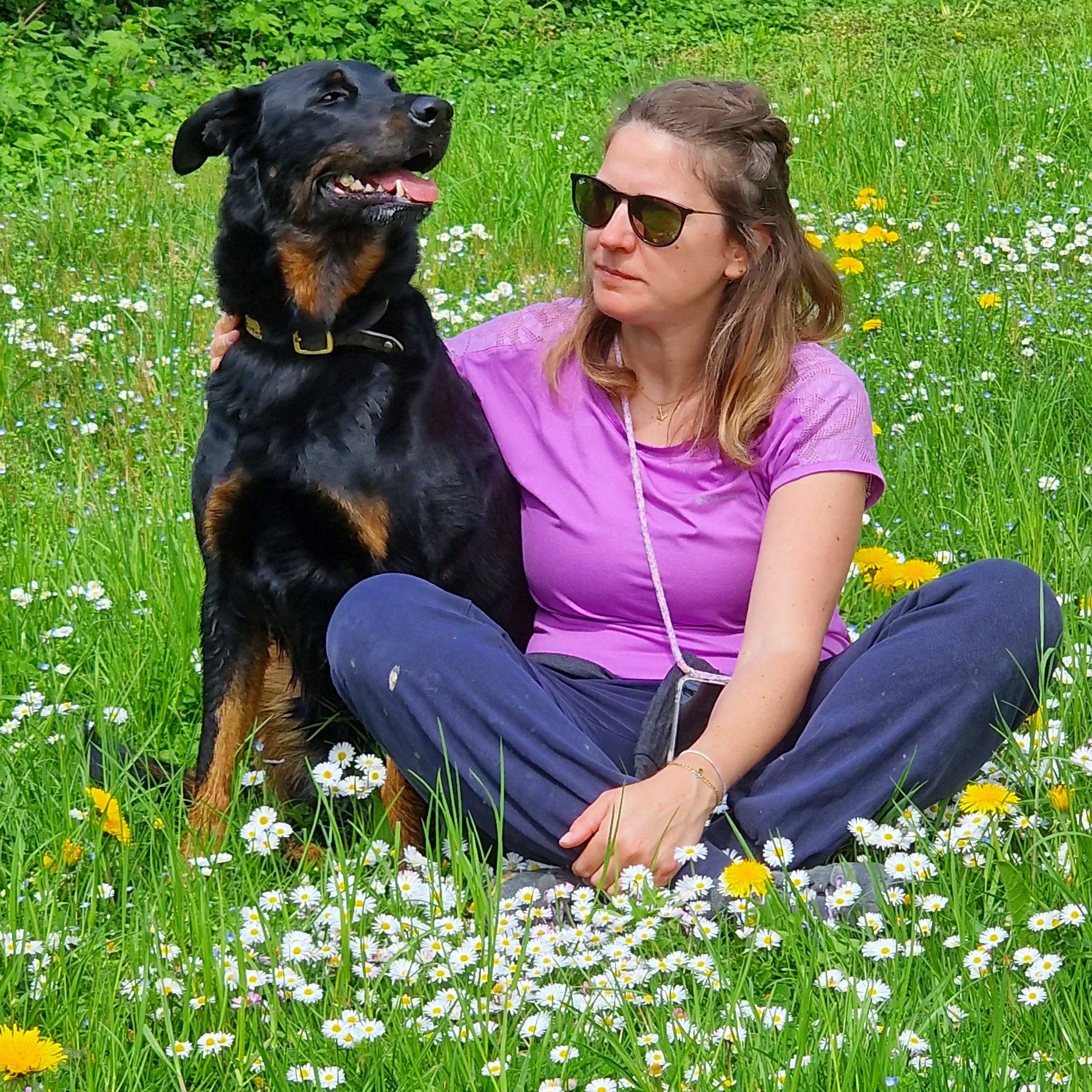 Frühling mit Hund: Was jetzt wichtig ist