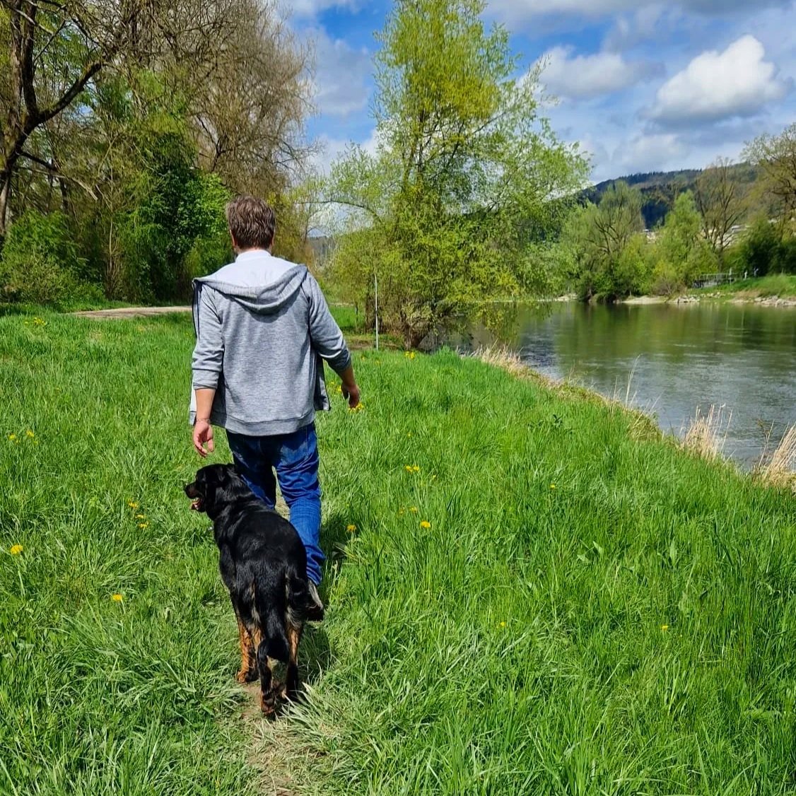 Zecken, Wärme, neue Gerüche: Frühlings-Check für Hundehalter:innen