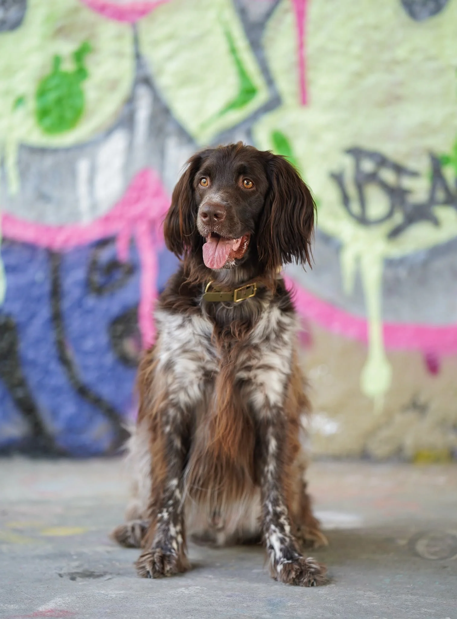 Streetart Photoshooting.                       SO, 30.8.2026