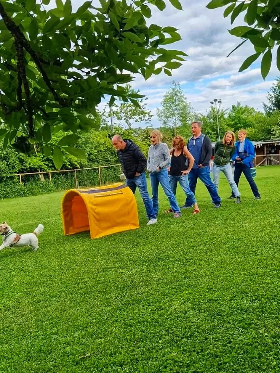 Plauschgruppe