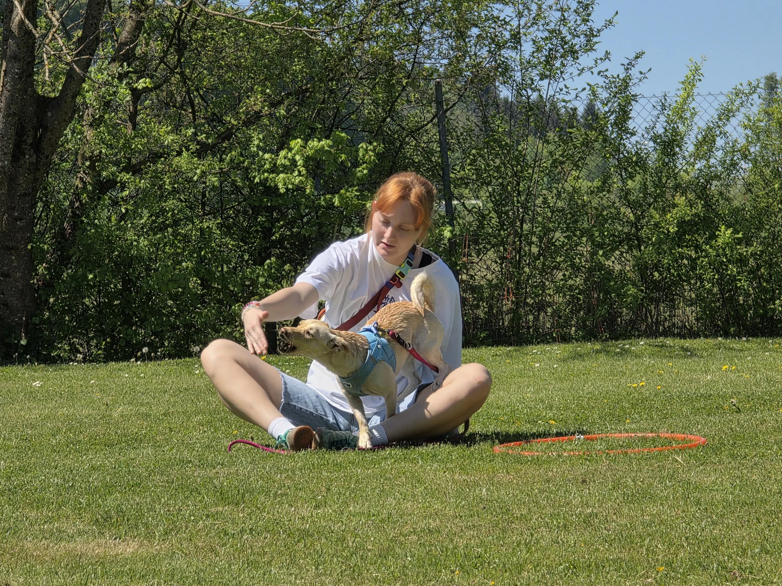 Alltags- und Ticktraining