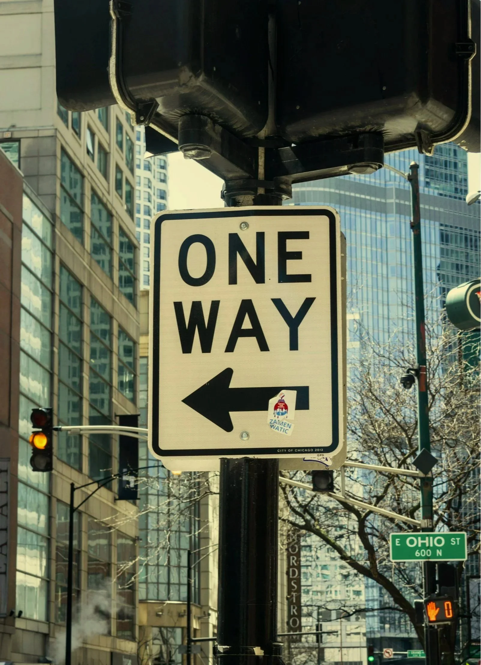 Street sign indicating a one-way street to the left, located in an urban area with tall buildings and traffic lights.