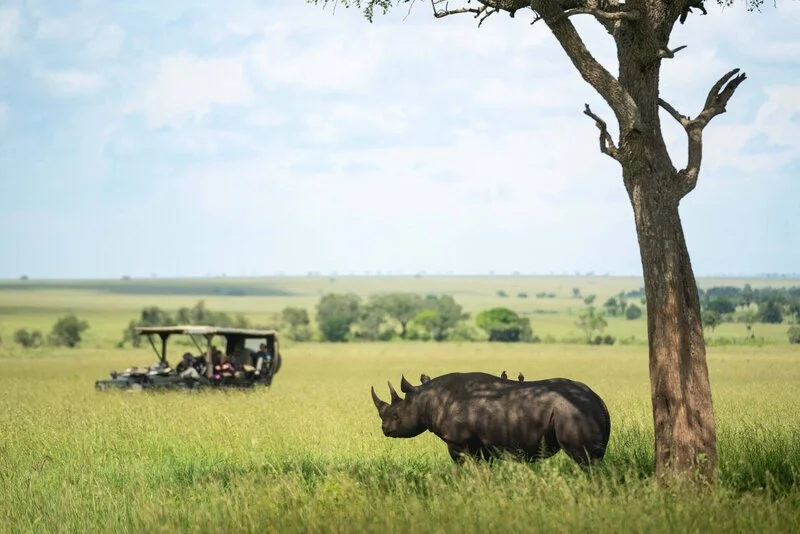 taasa_lodge_-_wildlife_and_safari_11.jpg