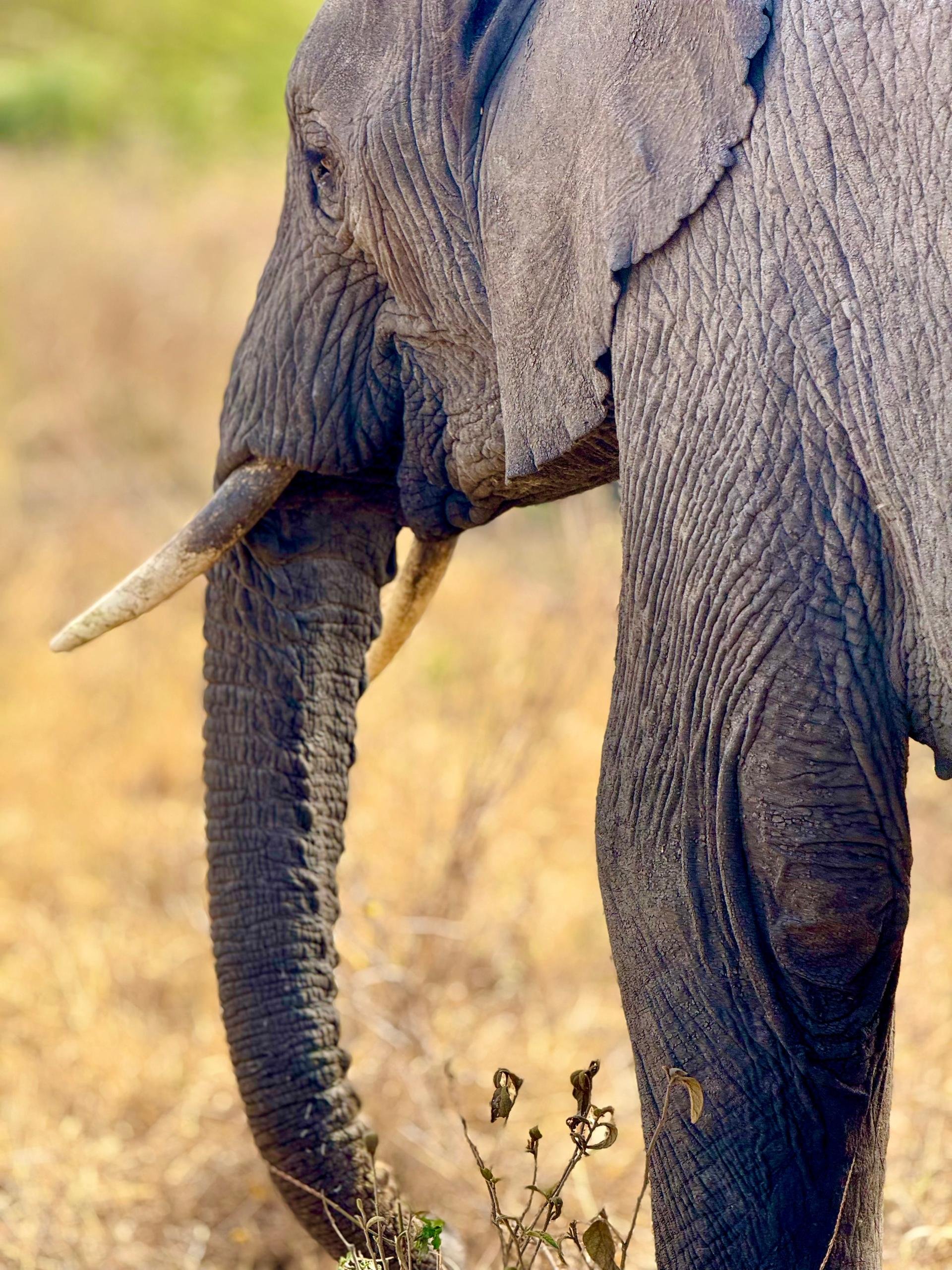 WhatsApp Image 2026-03-28 at 11.55.28 (2).jpeg