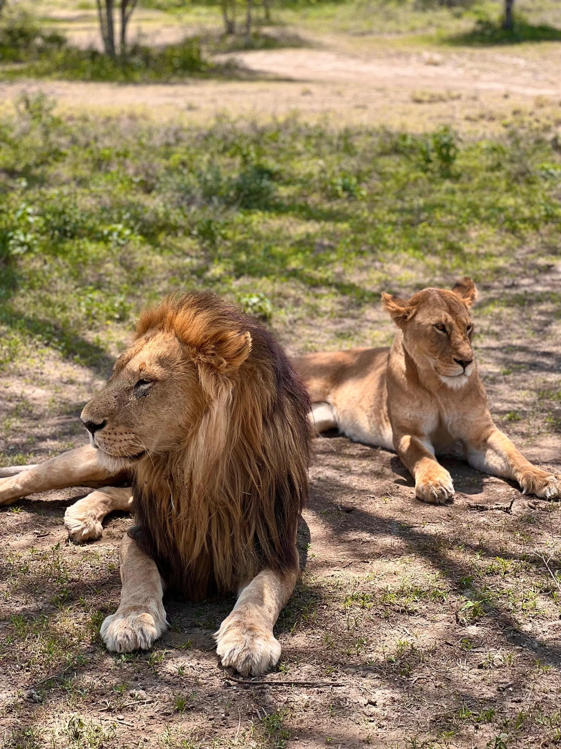 WhatsApp Image 2026-03-28 at 11.55.40 (1).jpeg