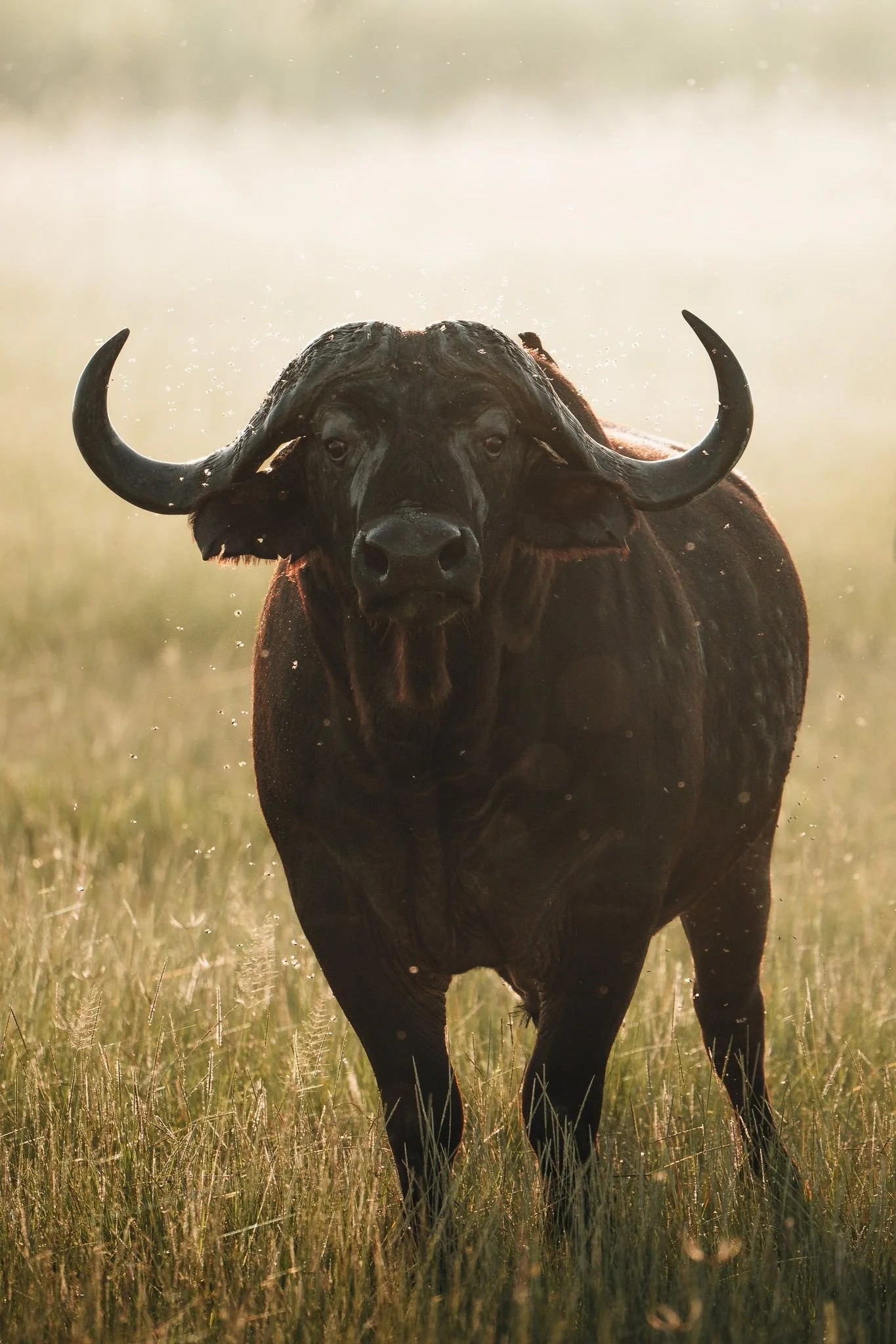 Photo 08-04-2026, 20 36 46.jpg