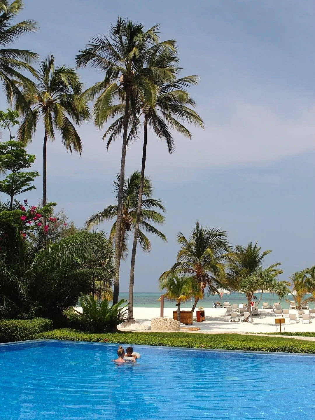 A tropical beach scene with tall palm trees, a swimming pool, and lounge chairs on the sandy shore overlooking the ocean.