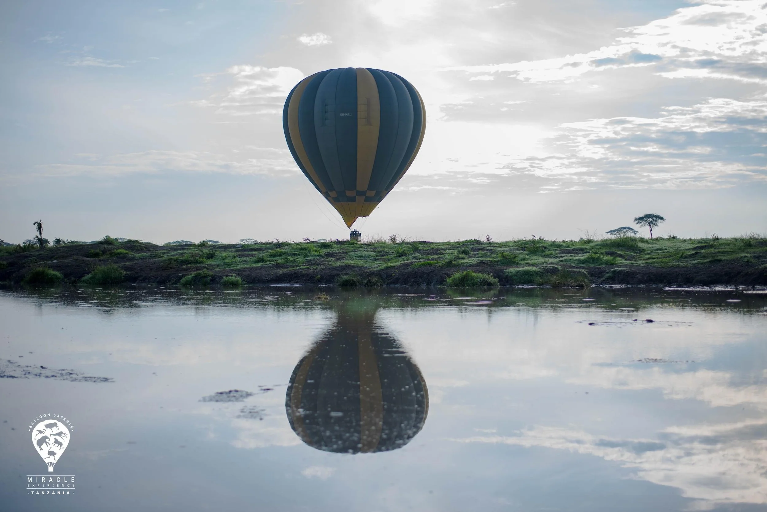 WhatsApp Image 2026-04-07 at 13.45.23.jpeg