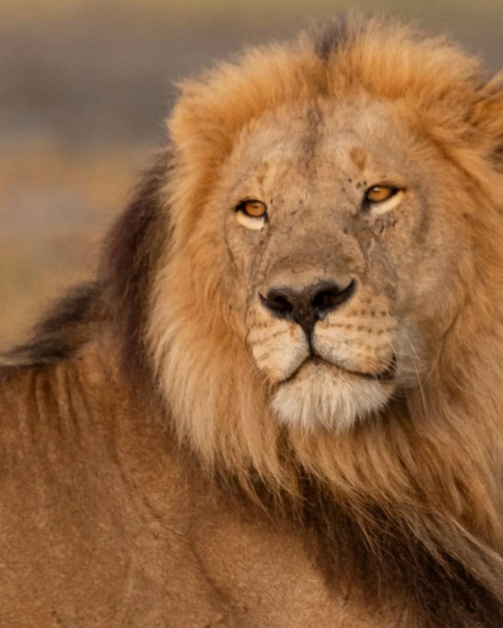 WhatsApp Image 2026-03-31 at 21.24.53 (2).jpeg