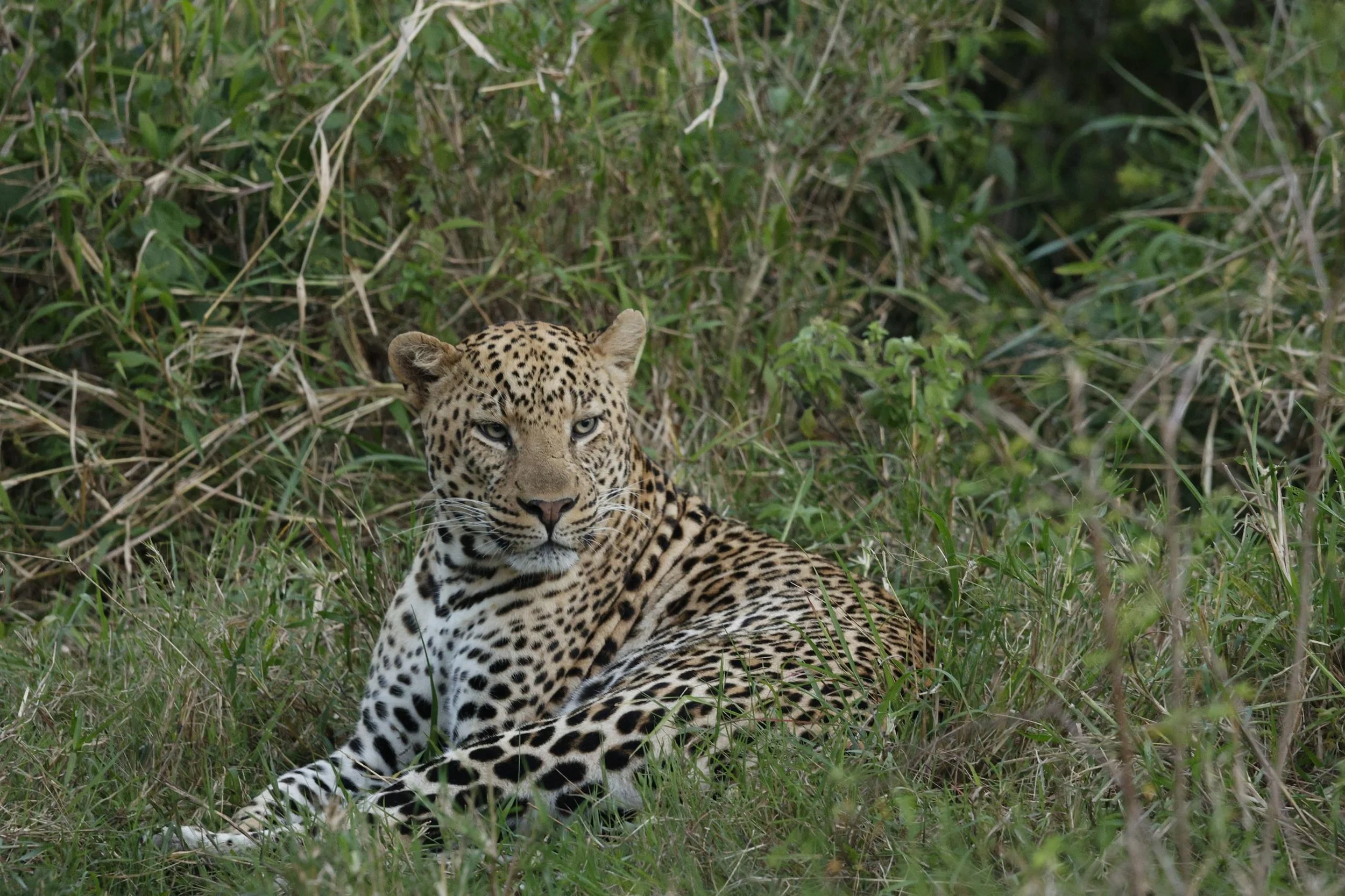 WhatsApp Image 2026-03-28 at 12.24.03 (2).jpeg