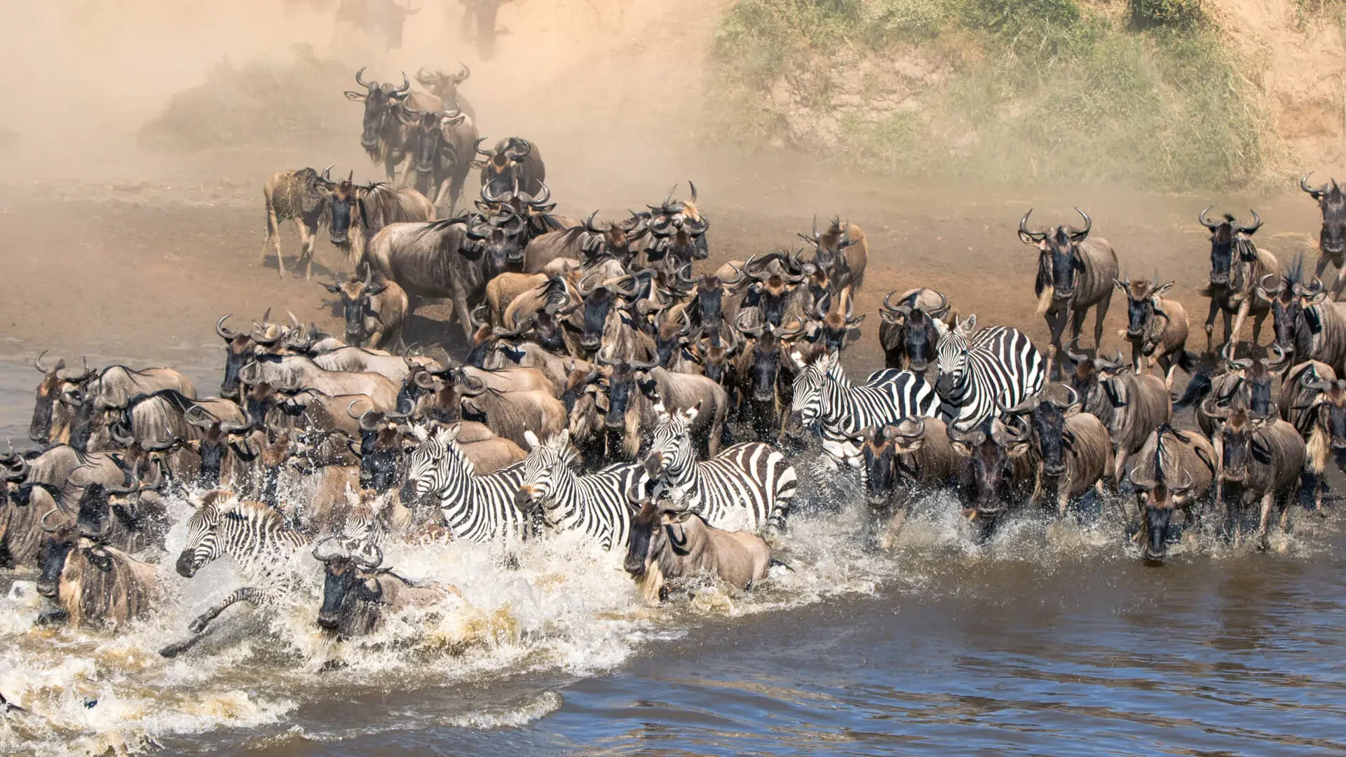6 - Days Great Migration Safaris From $4,680