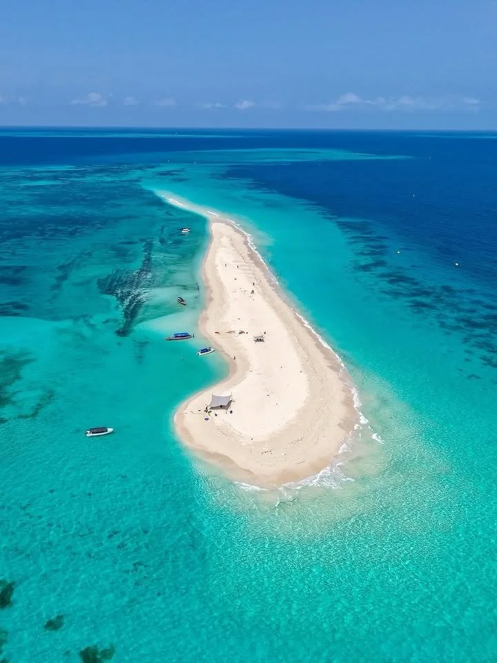 8 - Days Tanzania Safari & Zanzibar Beach Holiday From $4,800