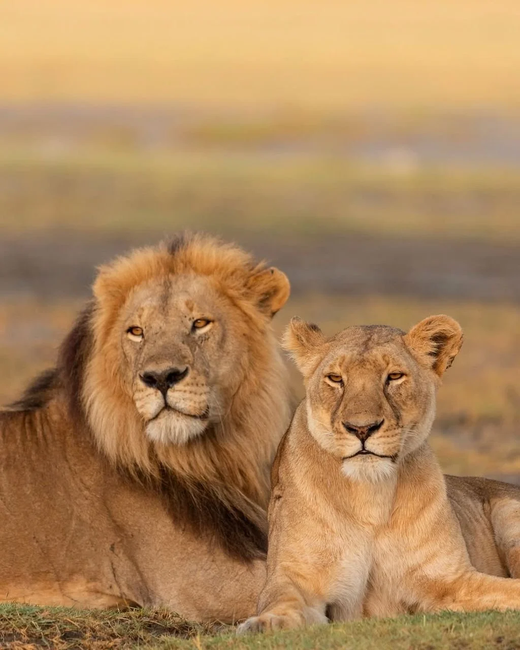 WhatsApp Image 2026-03-31 at 21.24.53 (1).jpeg