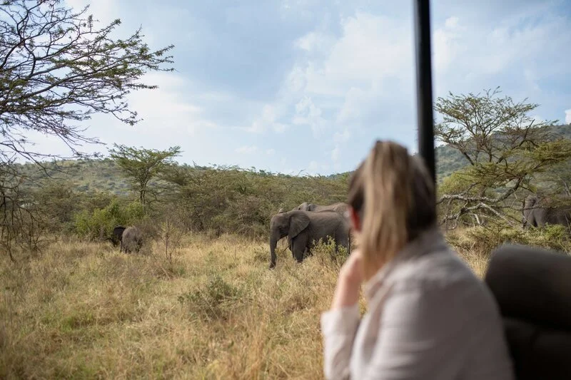 taasa_safari_18.jpg