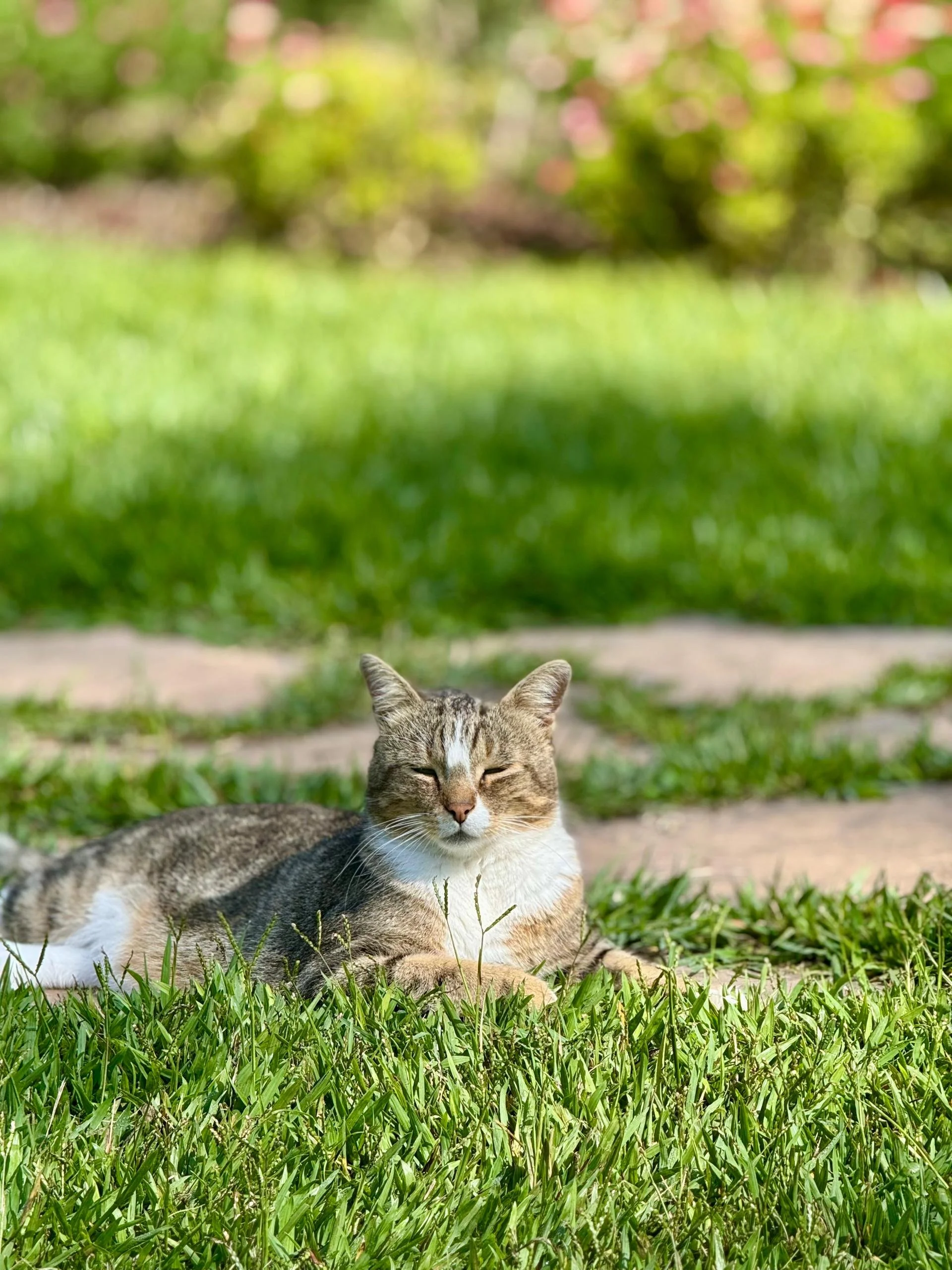 WhatsApp Image 2026-04-06 at 08.42.53 (1).jpeg