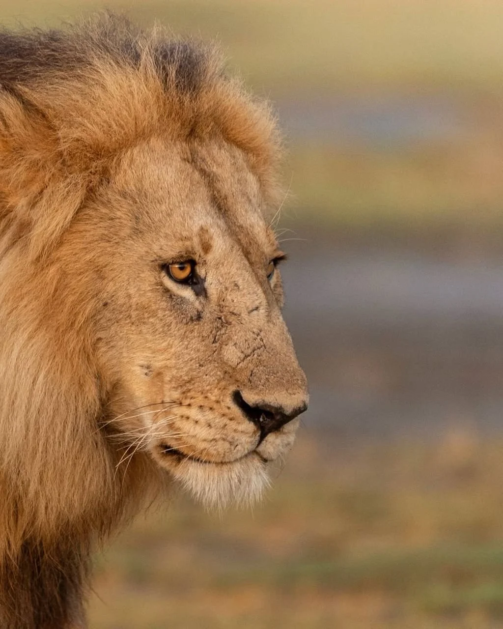 WhatsApp Image 2026-03-31 at 21.24.52.jpeg