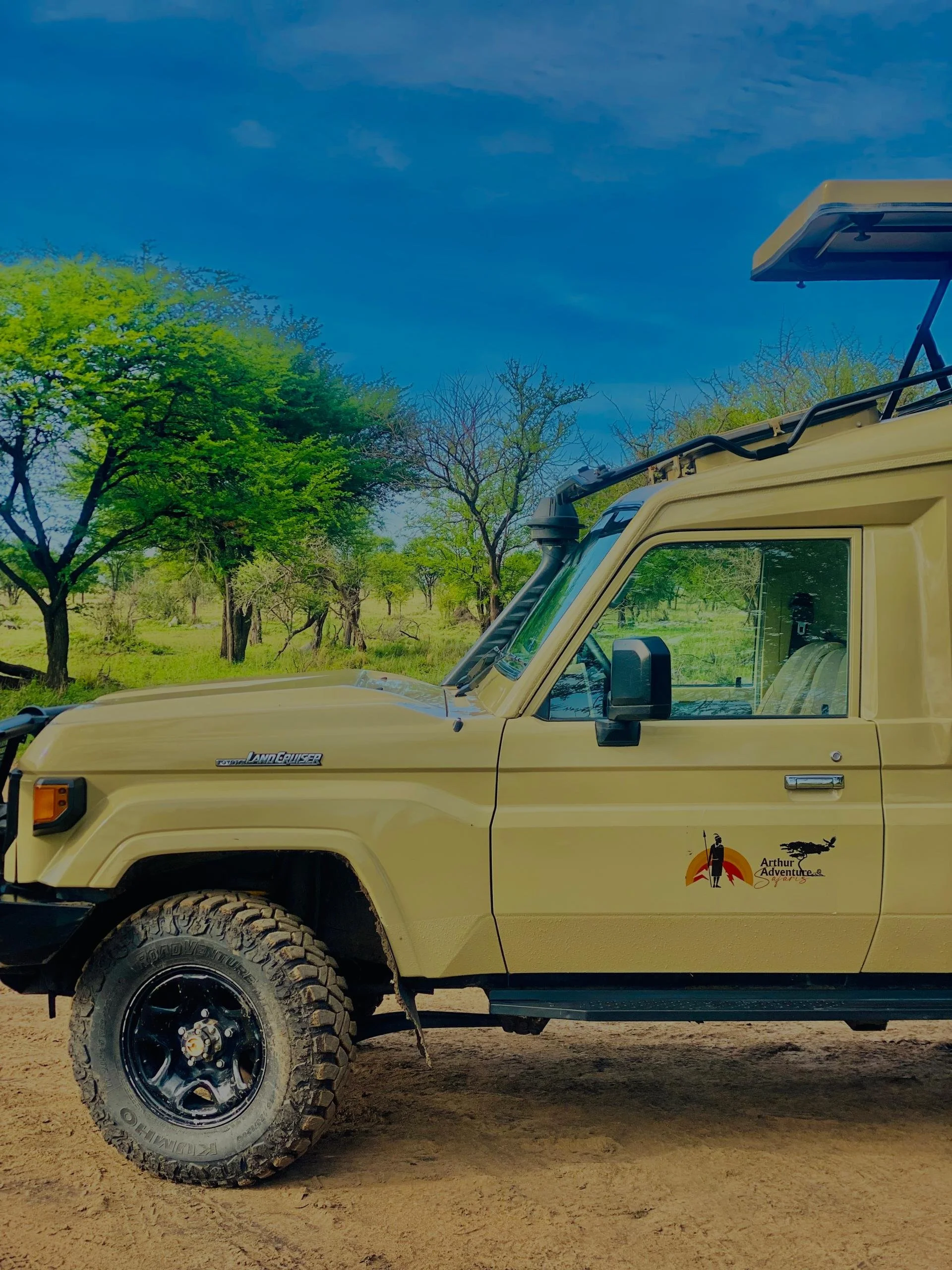 WhatsApp Image 2026-03-28 at 11.55.28 (1).jpeg