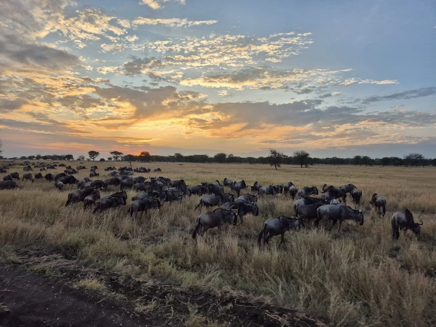 Create Your Perfect Experience