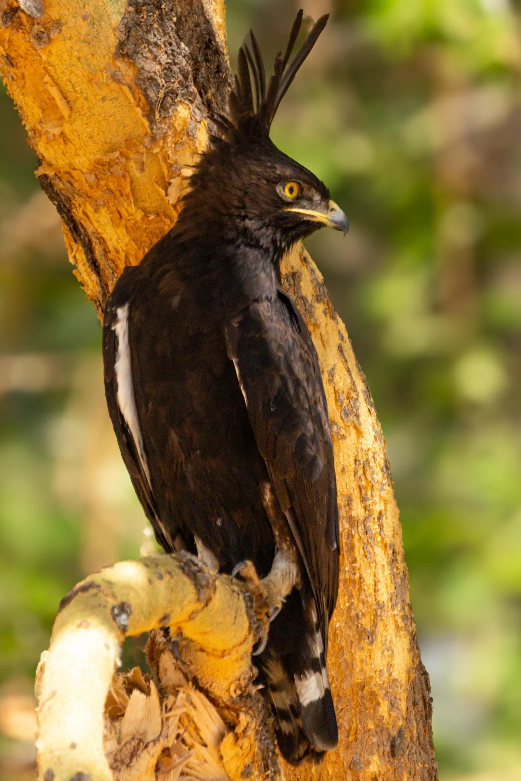 WhatsApp Image 2026-03-28 at 12.24.03 (1).jpeg