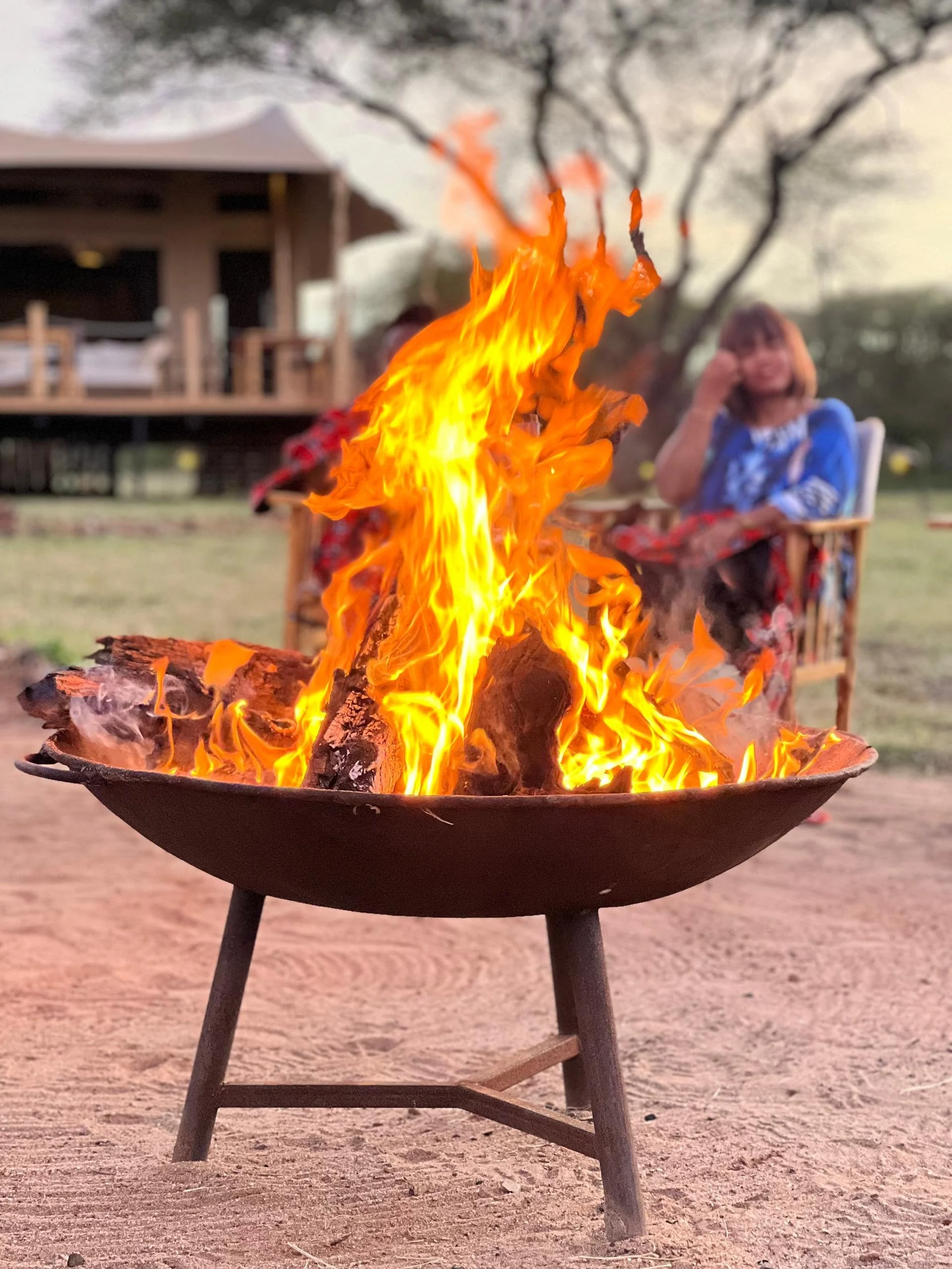 WhatsApp Image 2026-04-06 at 08.42.37 (3).jpeg