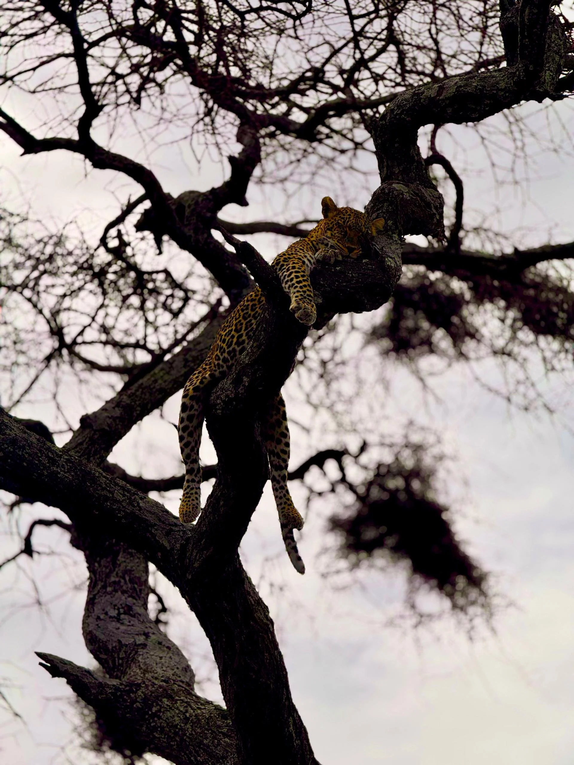 WhatsApp Image 2026-04-06 at 09.44.23 (3).jpeg