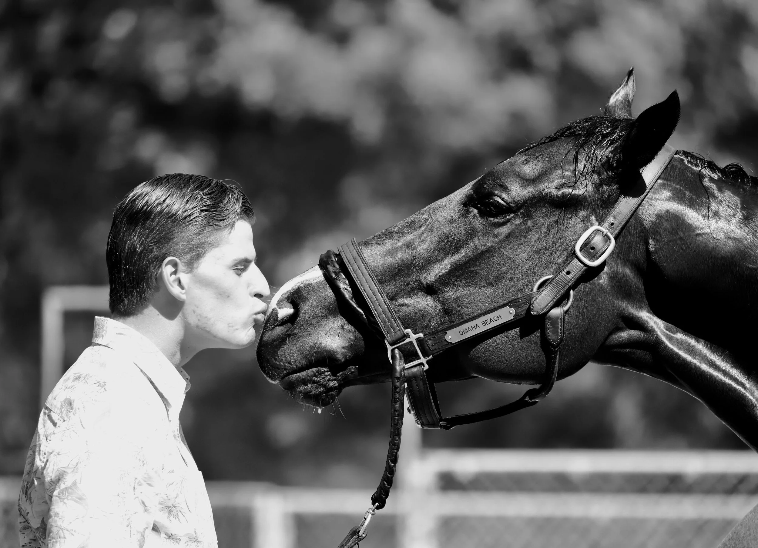 A young man with slicked-back hair and a patterned shirt is kissing the nose of a horse outdoors.