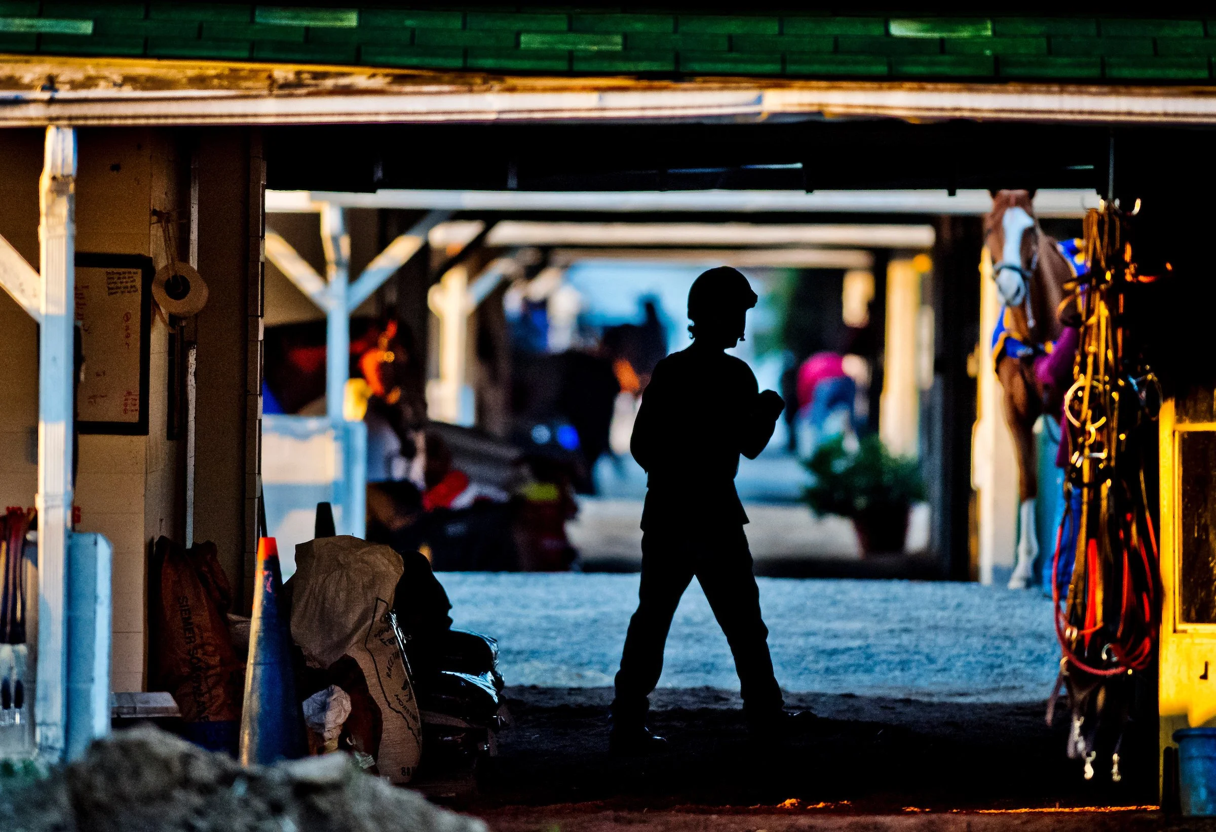 Stable area at a racetrack, showing behind-the-scenes horse care and operations